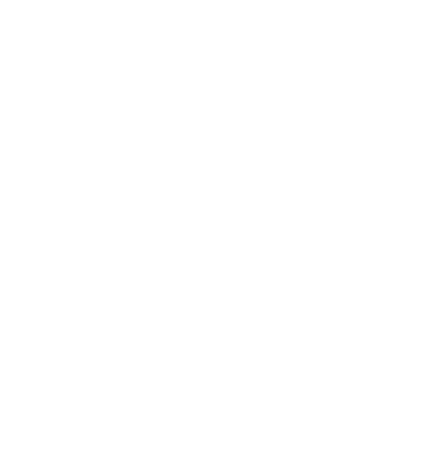 Studio Sintel
