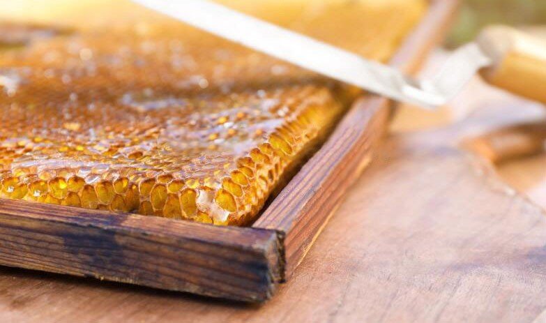 Unpasteurized, artisanal honey, from Modena, Emilia-Romagna, Italy