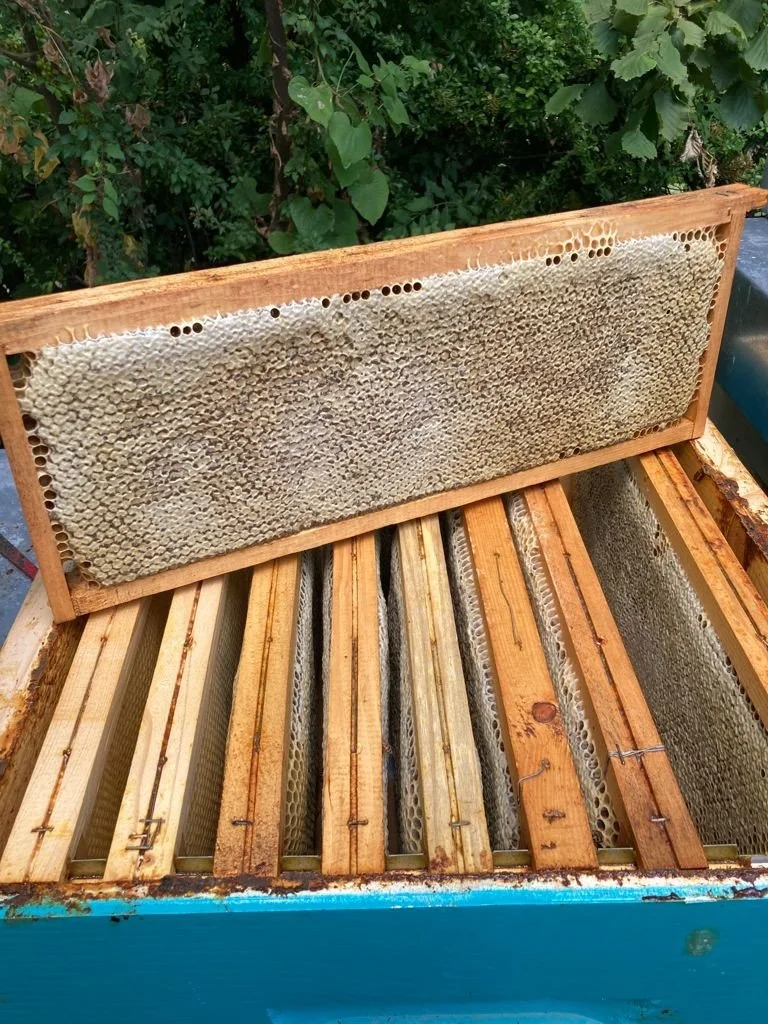 small-batch italian honey, raw and unfilterd, from suistainable beekeeping