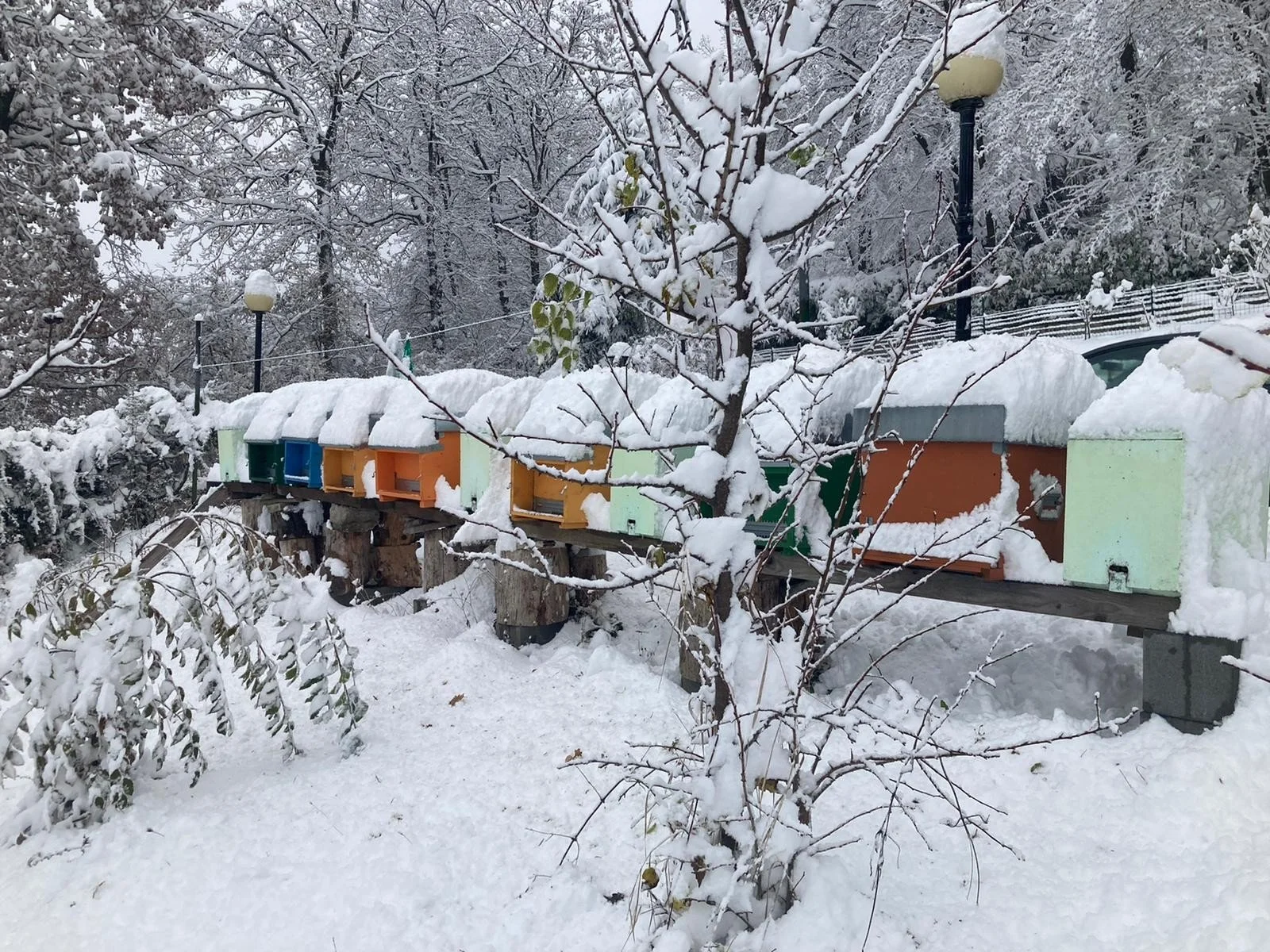 Hives in the snow in Modena Appennines, we produce raw mountain honey, chestnut honey from Italy
