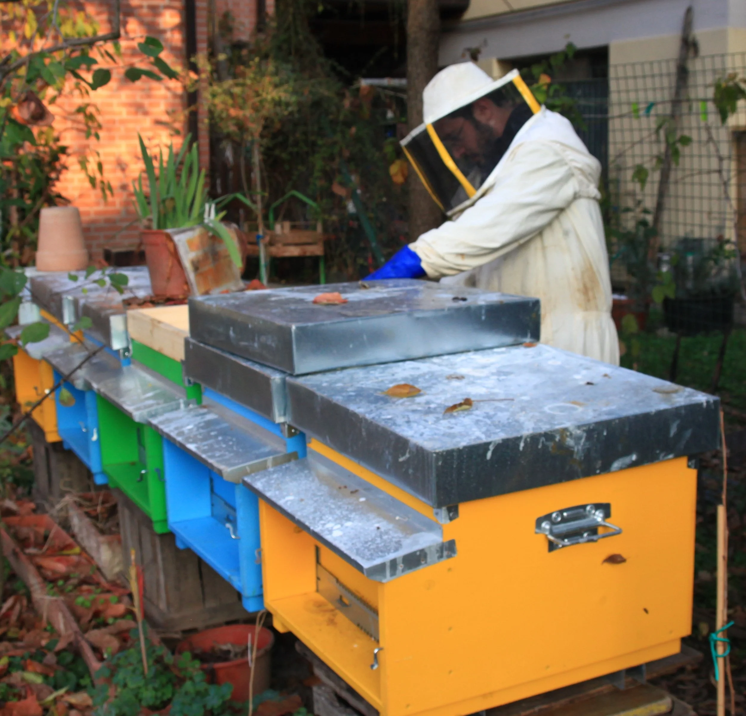 Corsi Apicoltura e Gestione Alveari Privati a Modena, Emilia-Romagna e in Italia