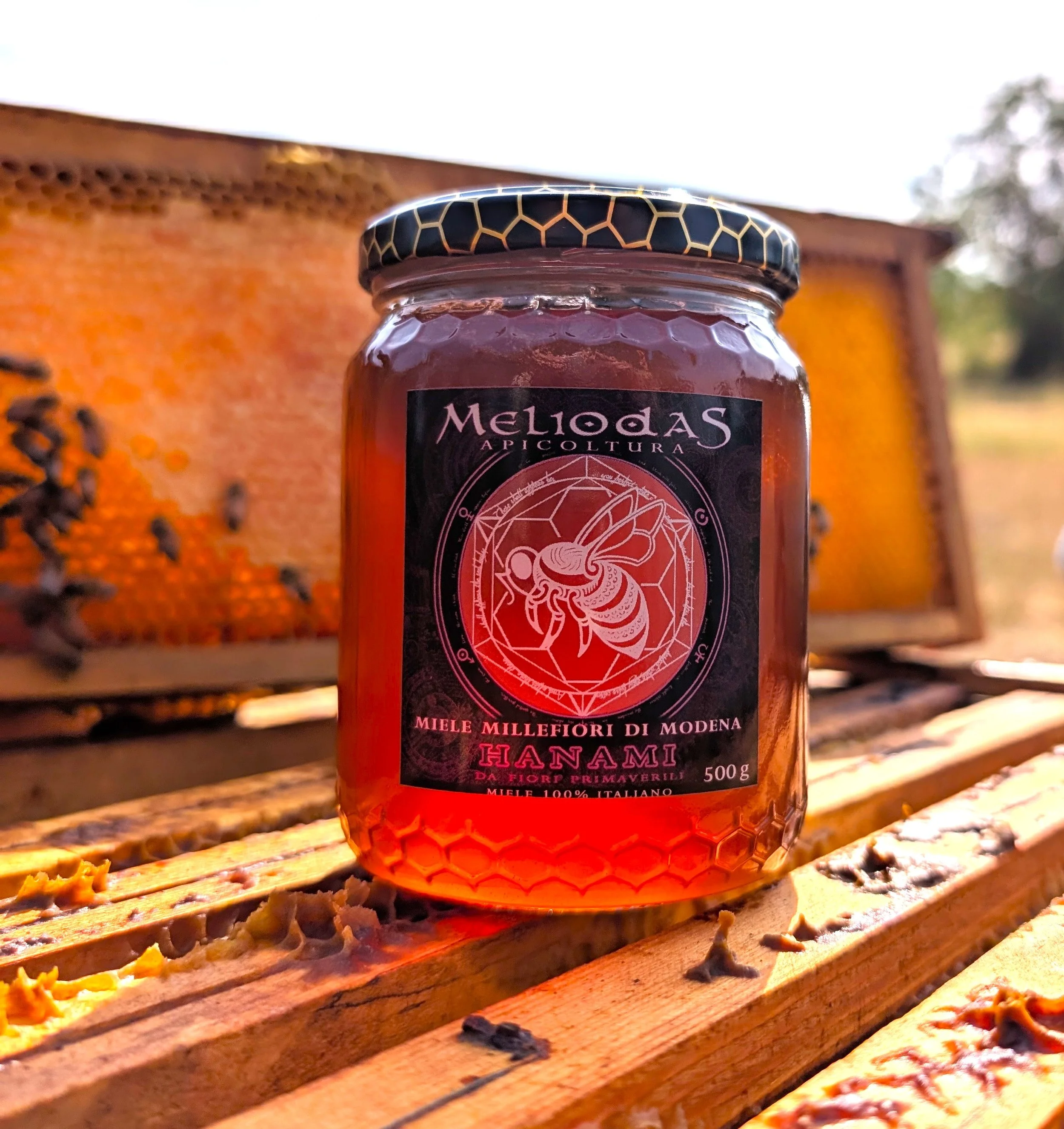 Raw Italian Spring Honey | Hanami