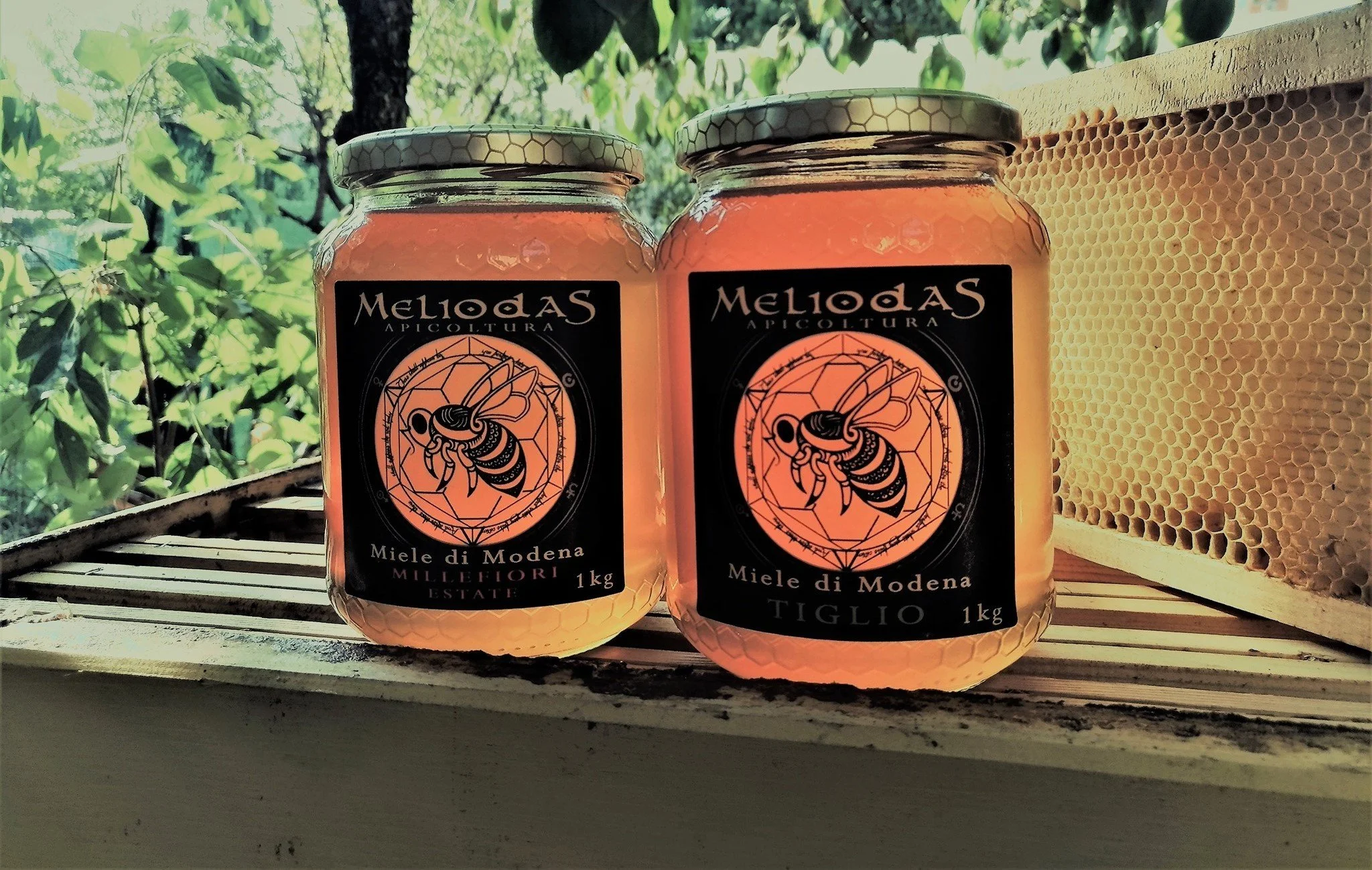 Authentic pure, bee-friendly raw honey from Modena, Emilia-Romagna, Italy