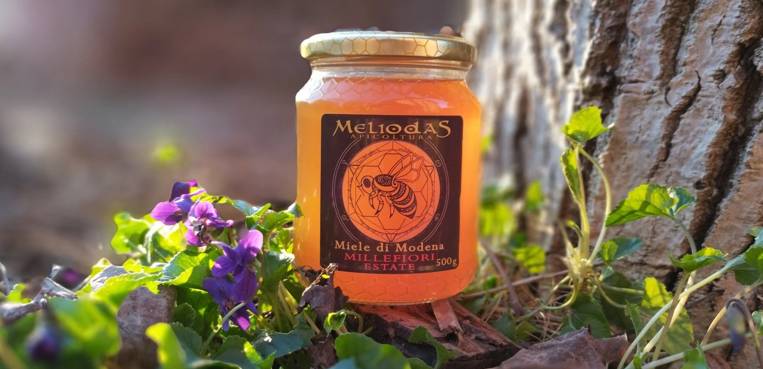 raw-italian-artisanal-honey-modena-wildflower.jpg