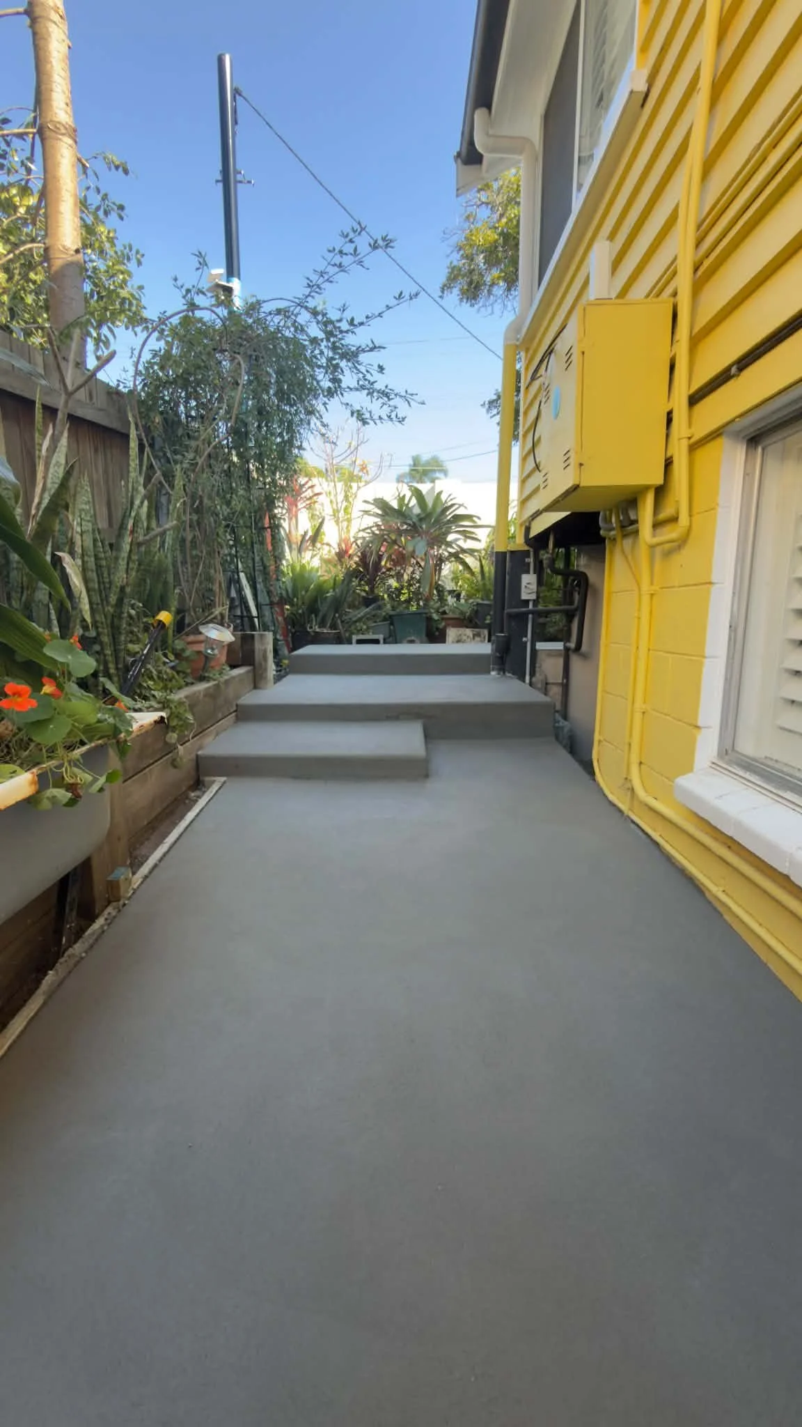 Concrete House Surround & Steps - East Brisbane