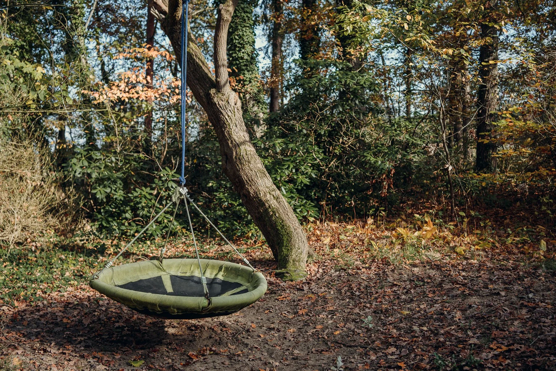 Nestschaukel auf de Stinshof