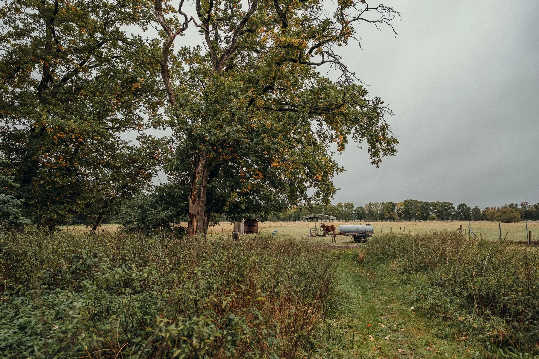Blick auf die Weite des Stinshof im Landkreis Heidekreis