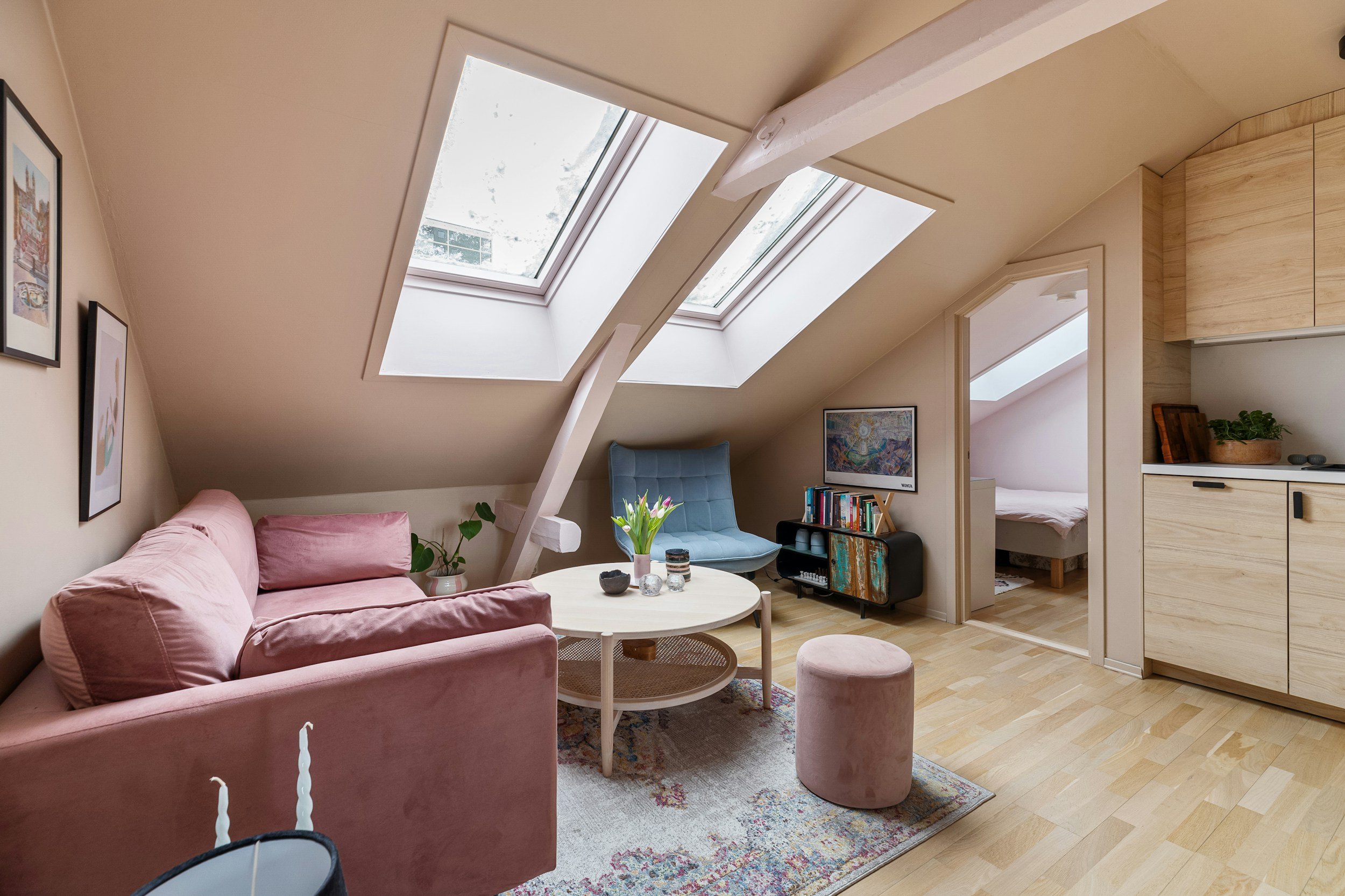 Regal Construction Timber & Damp Reports