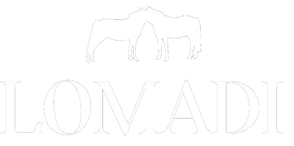 LOMADI