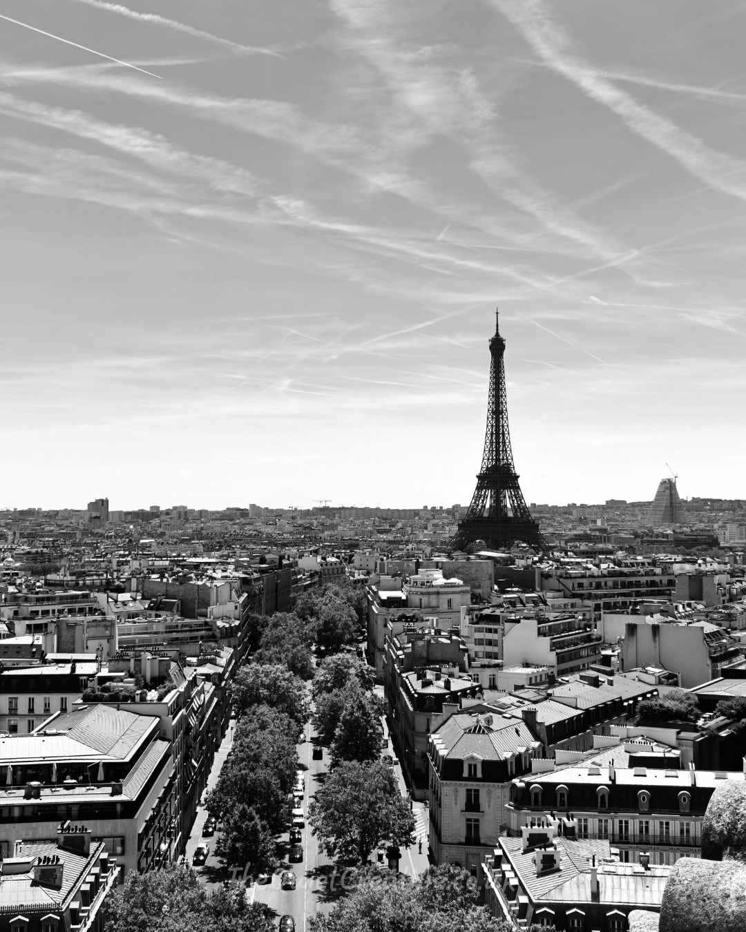 Black and White Panoramic View of Paris
