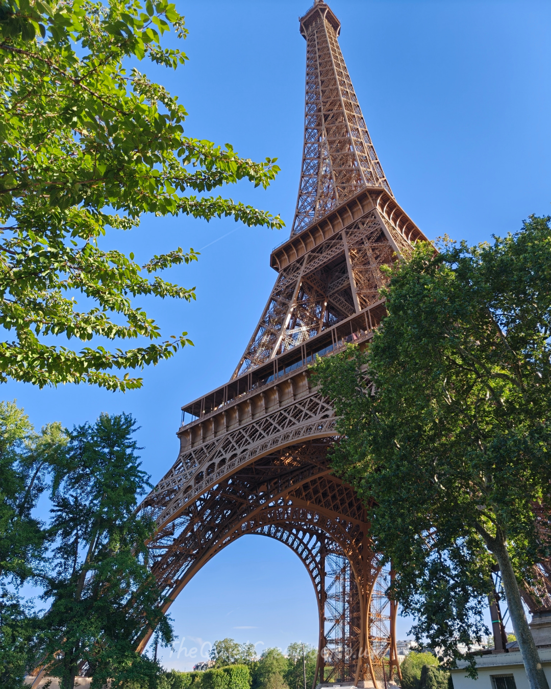 Effiel Tower Amongst the Trees