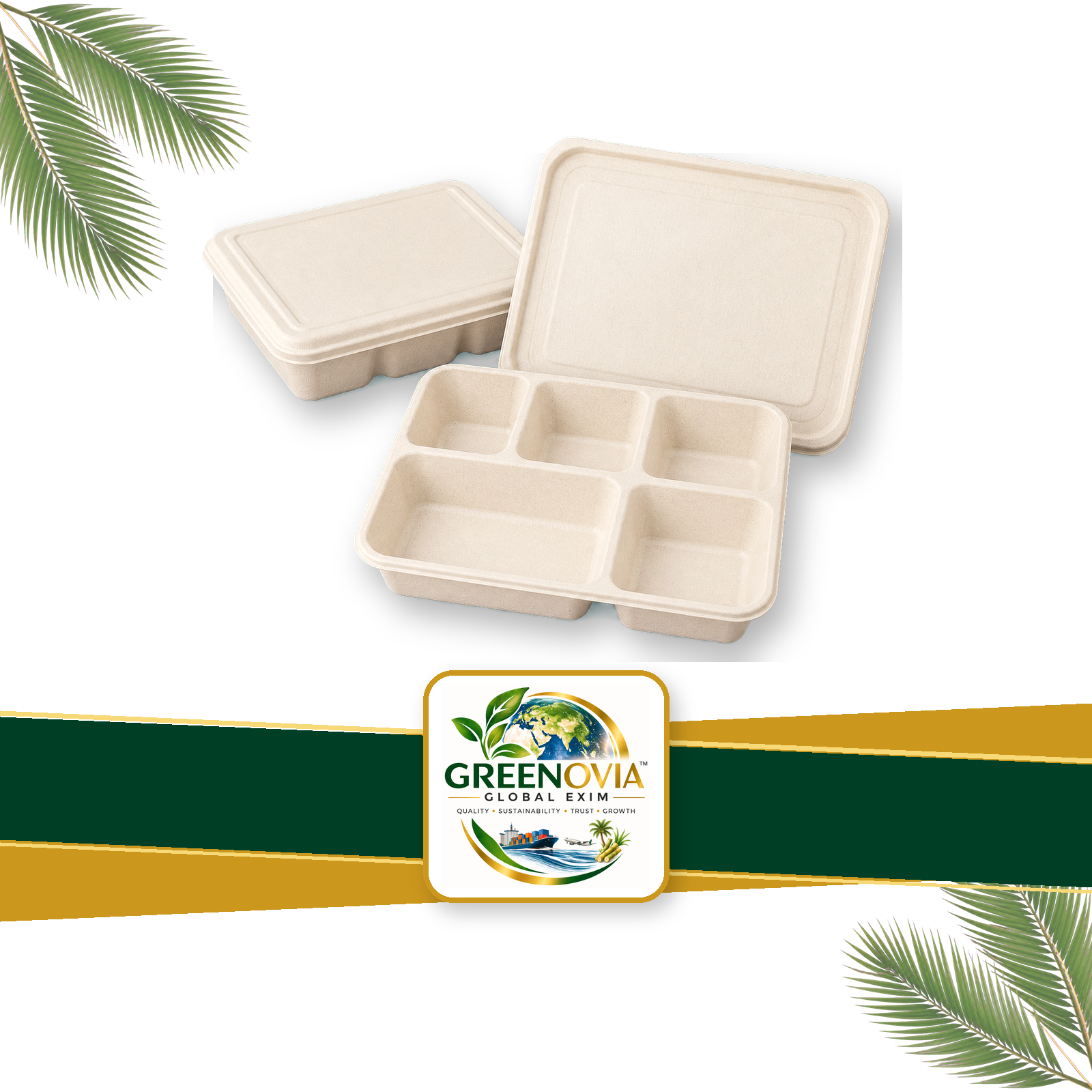 5CP MEAL TRAY