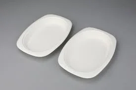 BAGASSE OVAL TRAY