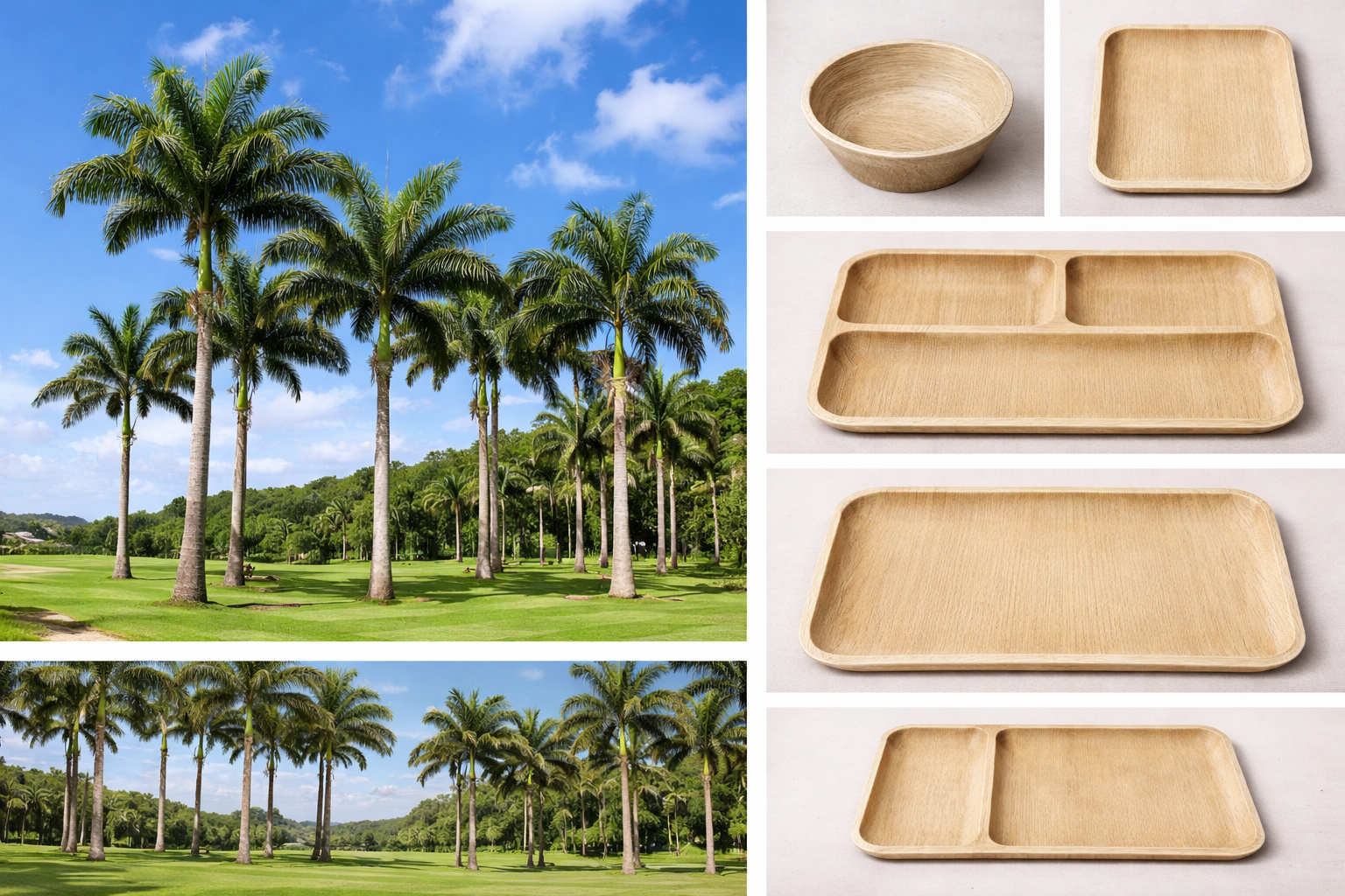 Images of palm trees in a park or golf course with a clear blue sky, and various wooden serving trays and bowls.