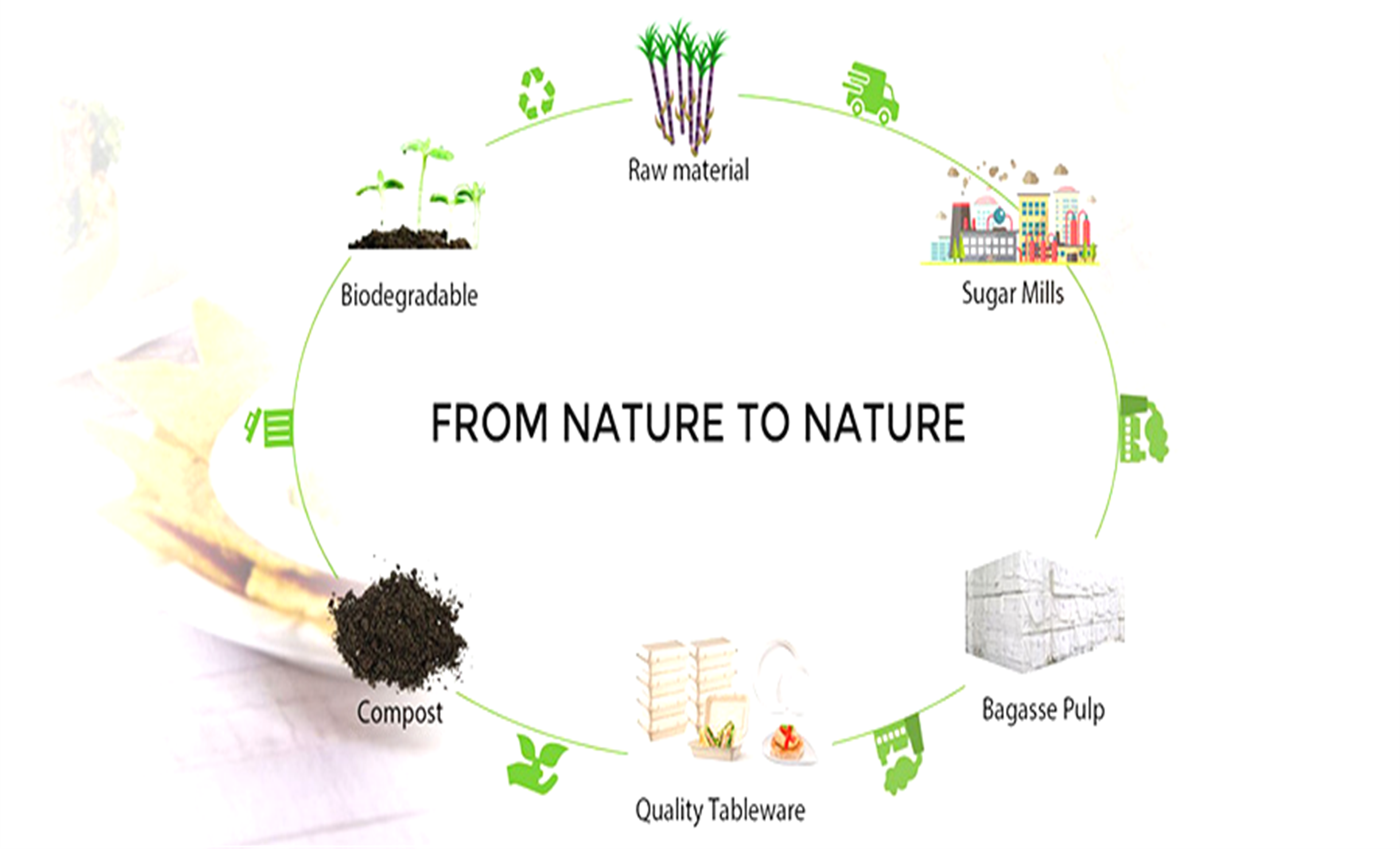 Diagram showing the process of making biodegradable products from natural materials, starting with raw material, sugar mills, bagasse pulp, quality tableware, compost, biodegradable, and ending with raw material again, with the central text 'From Nature to Nature'.