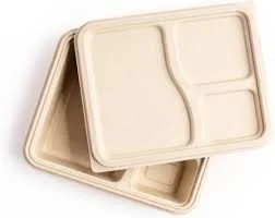 BAGASSE TAKEAWAY