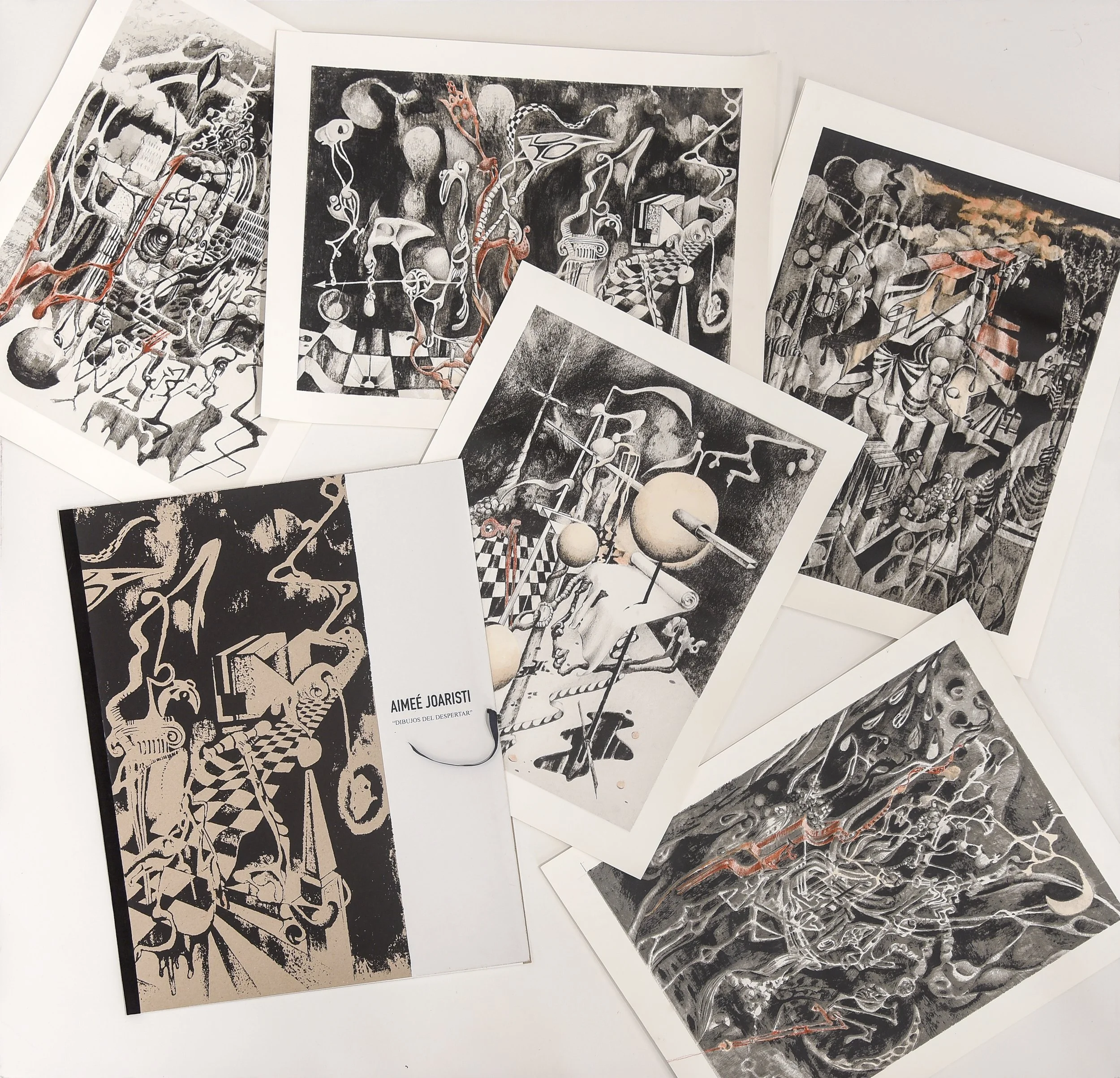 Vista de las serigrafías (2).jpg