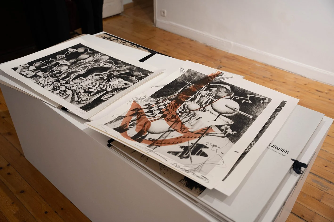 Vista de las serigrafías (4).jpg