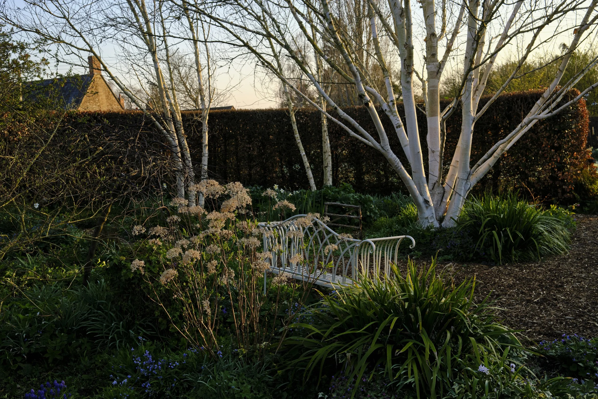 Copyright Laurence Cummins Photography / East Lambrook Manor Gardens - 