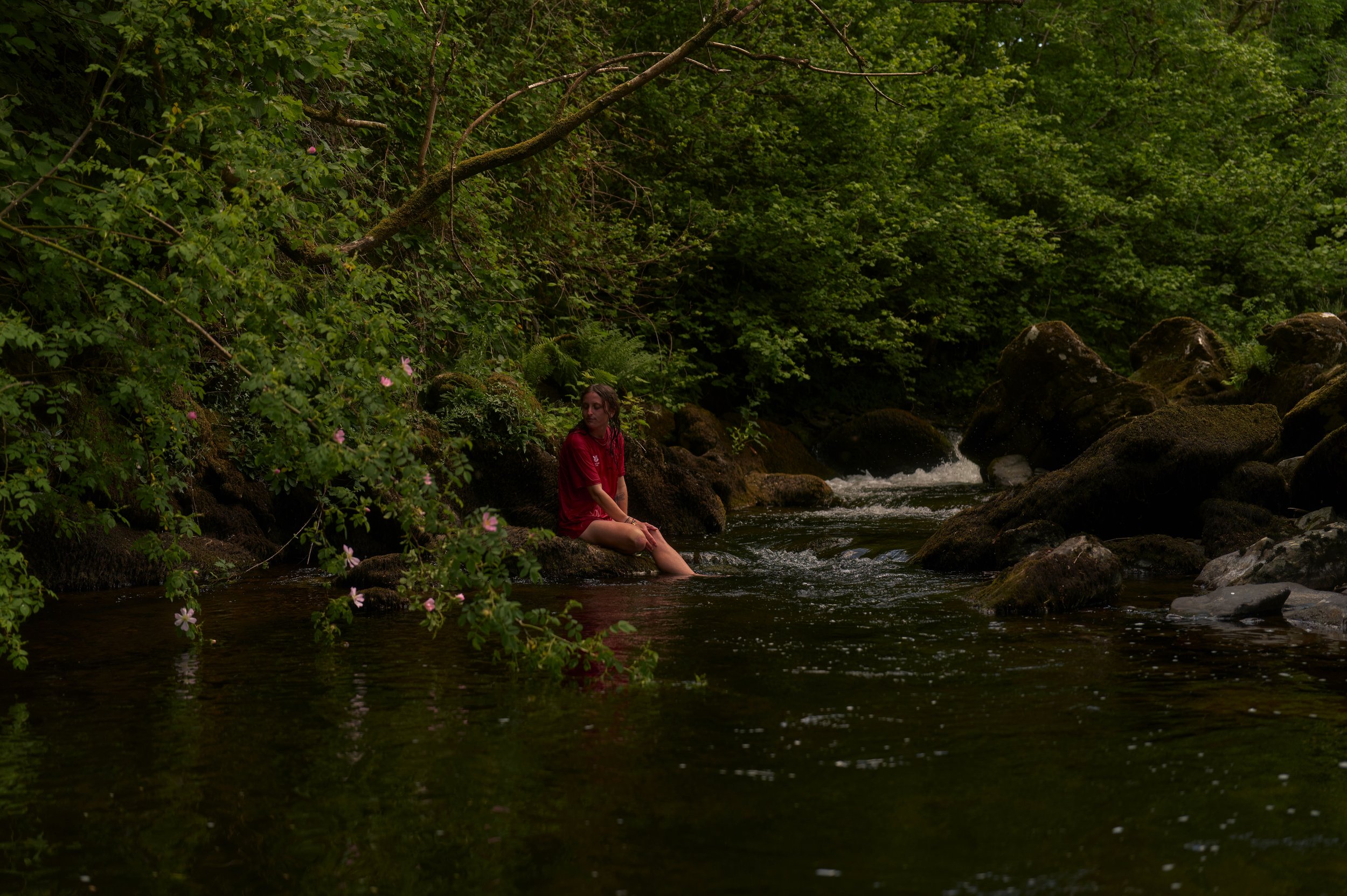 Copyright Laurence Cummins Photography - A person sitting on rocks at the edge of a stream surrounded by lush green trees and bushes.