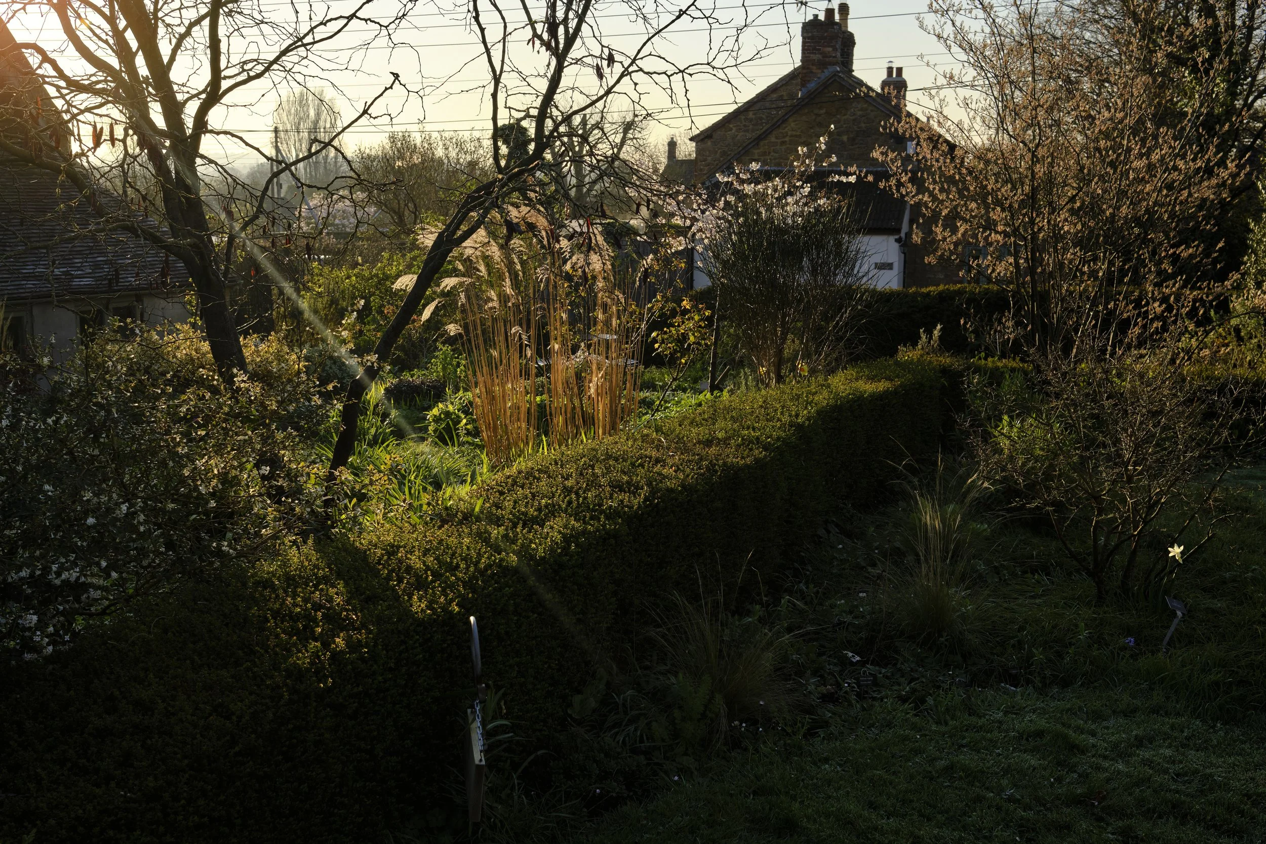 DSCF2615.jpg