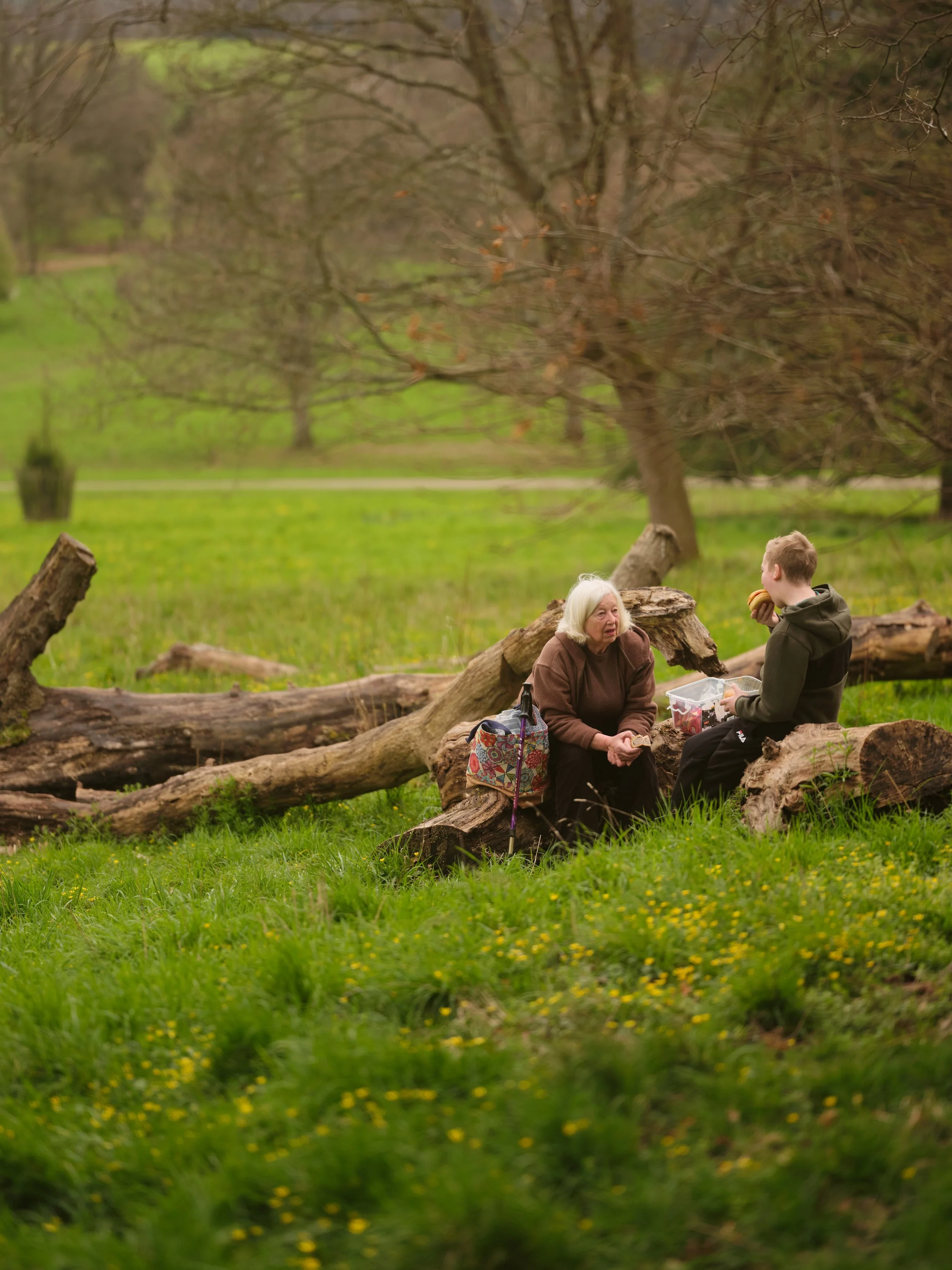 An elderly woman with white hair and a young man with short hair sit on fallen tree logs in a grassy park, having a conversation during the daytime. The woman is wearing a brown jacket and the young man is eating a snack. There are trees and a green 