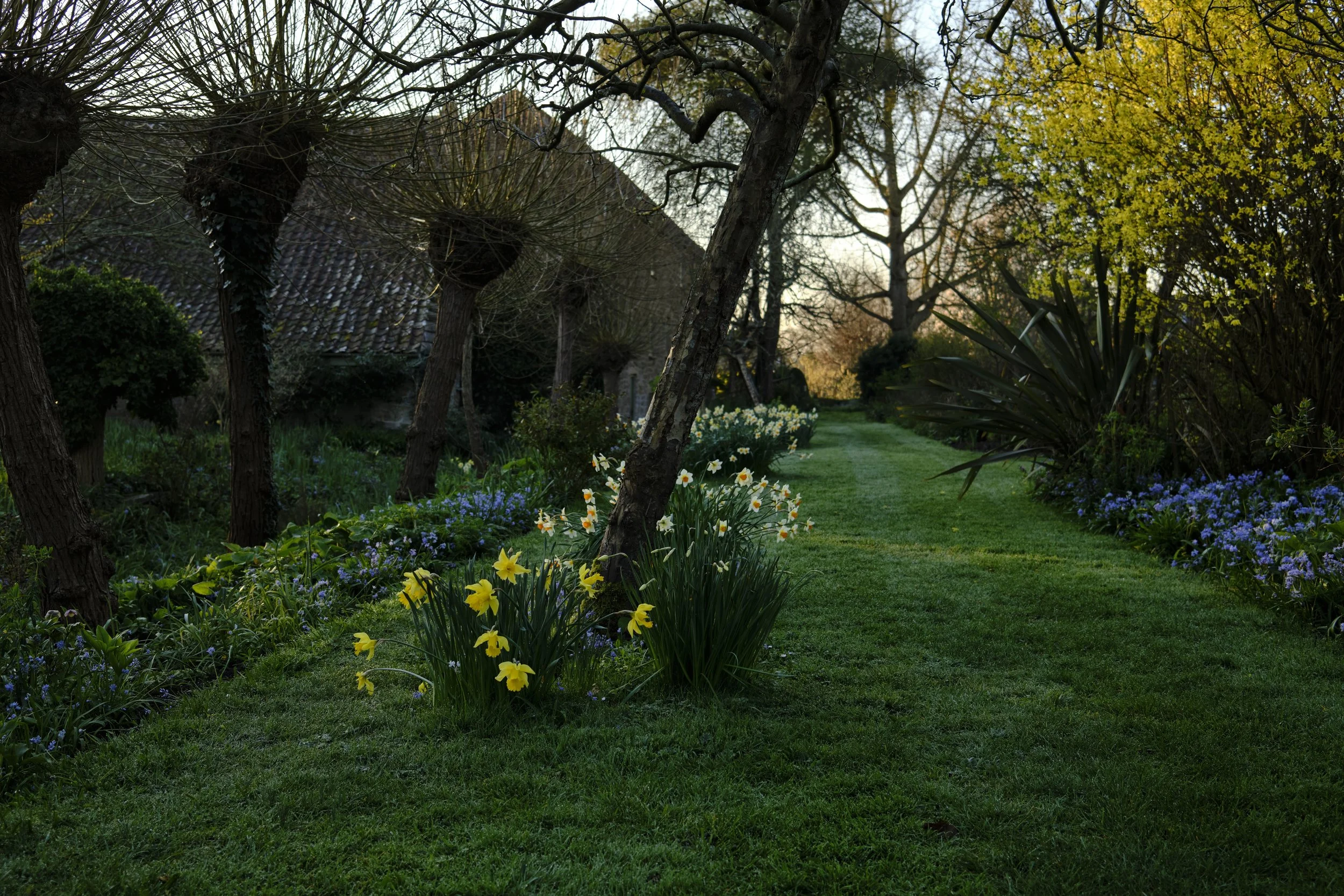 DSCF2547.jpg