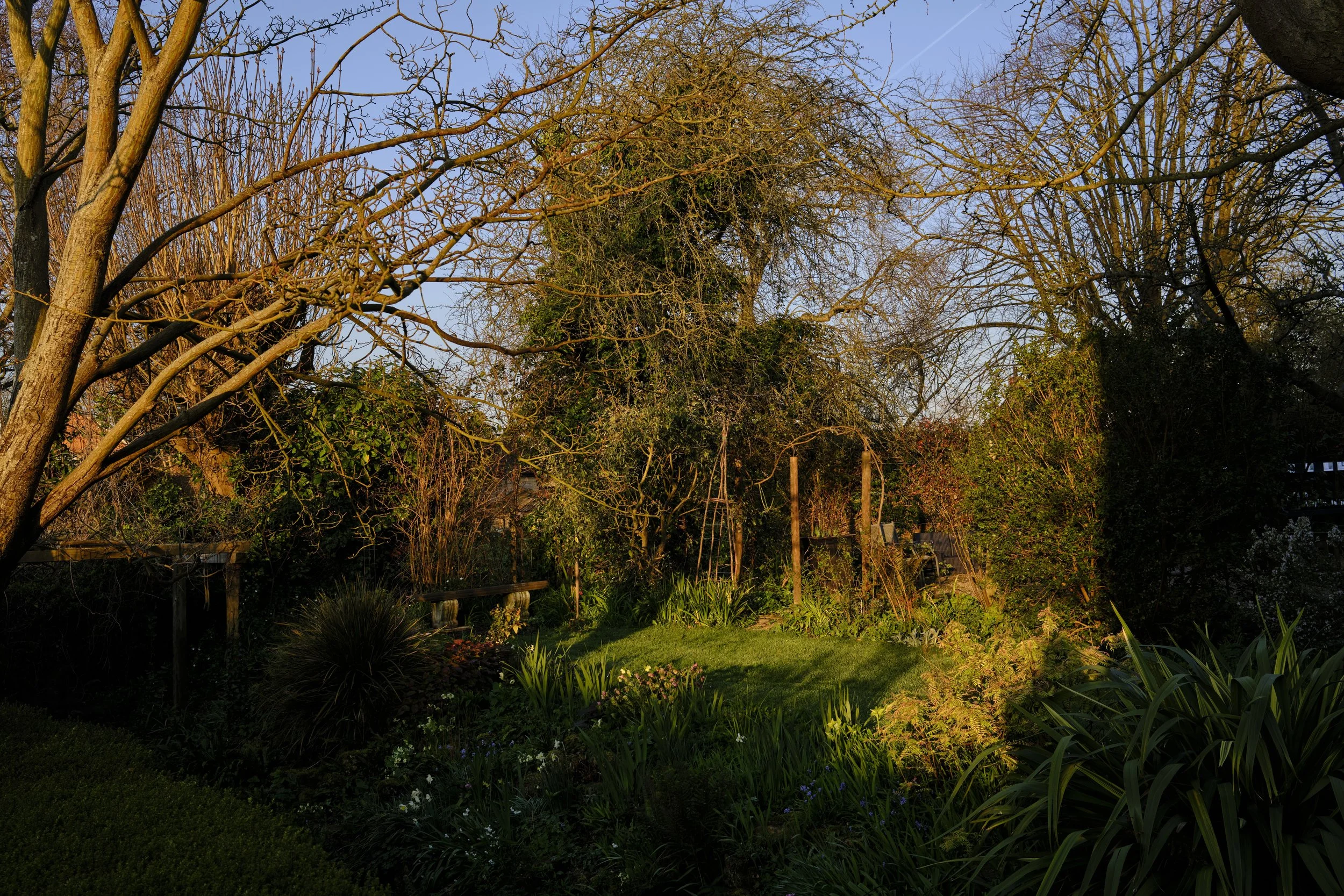 DSCF2483.jpg