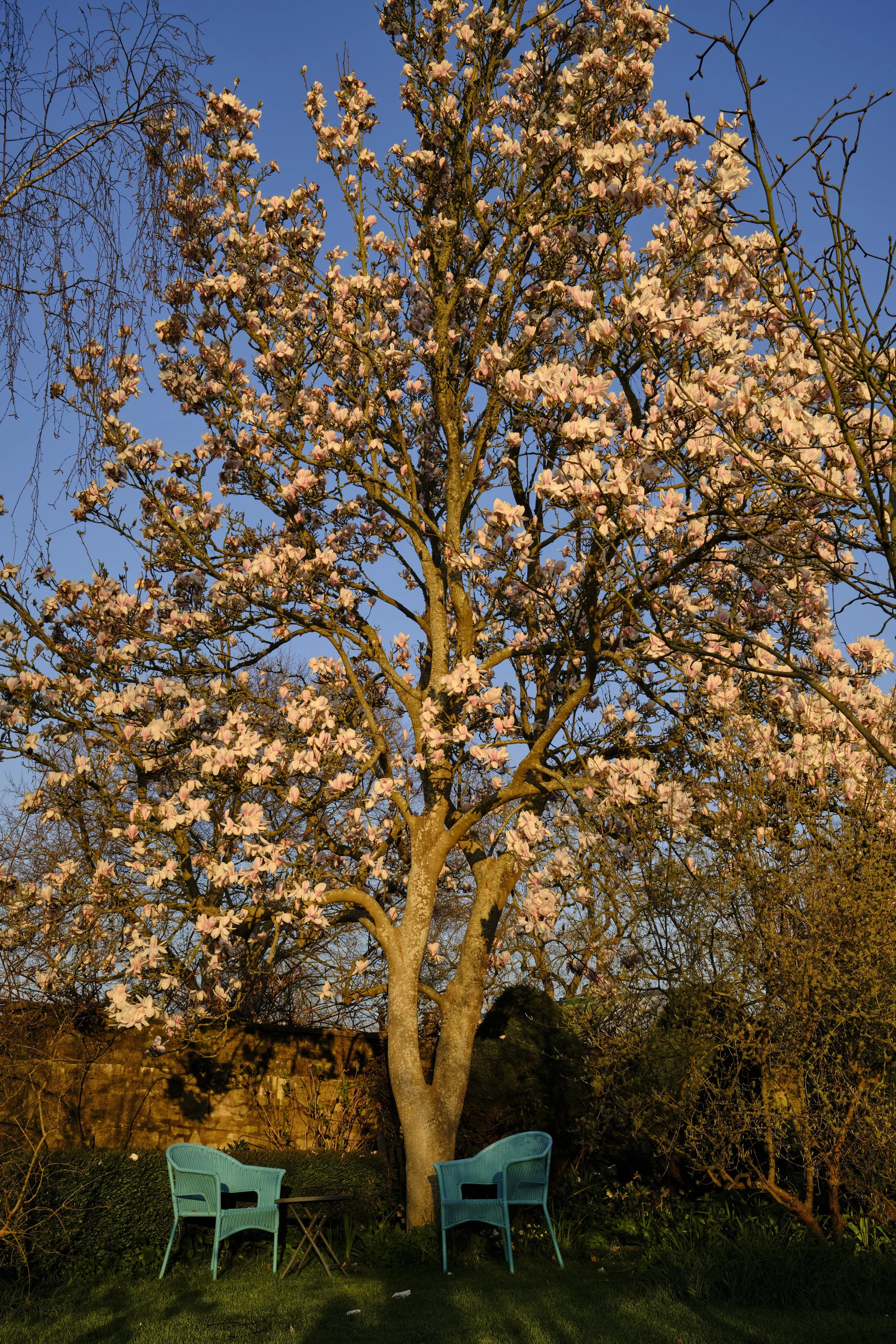 DSCF2498.jpg