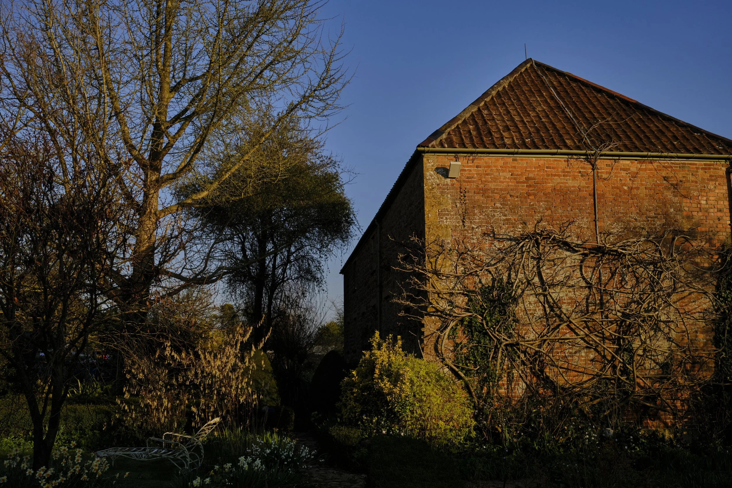DSCF2630.jpg