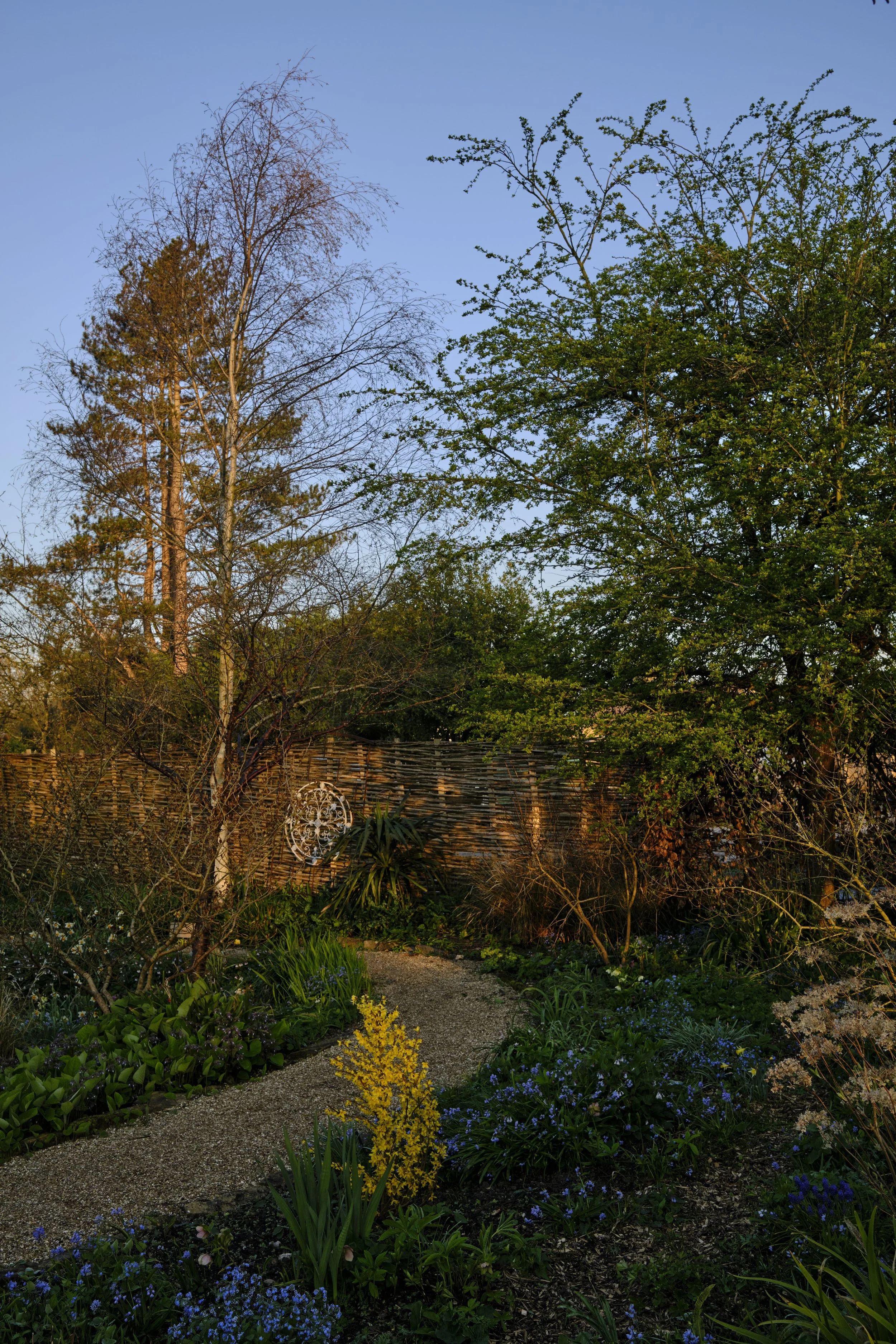 DSCF2439.jpg