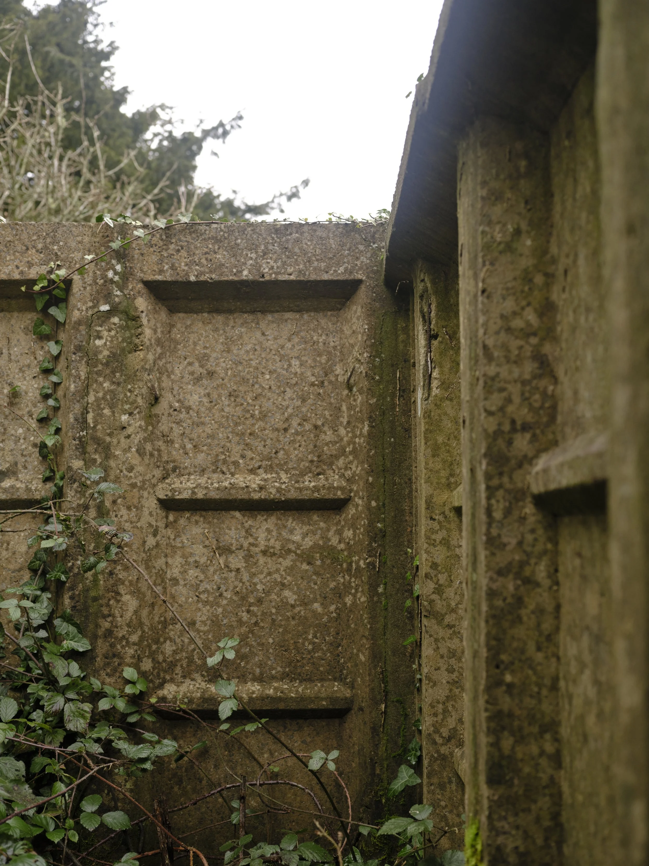 Close-up of an aged stone wall with moss and small plants growing on it, with a background of trees and a cloudy sky.