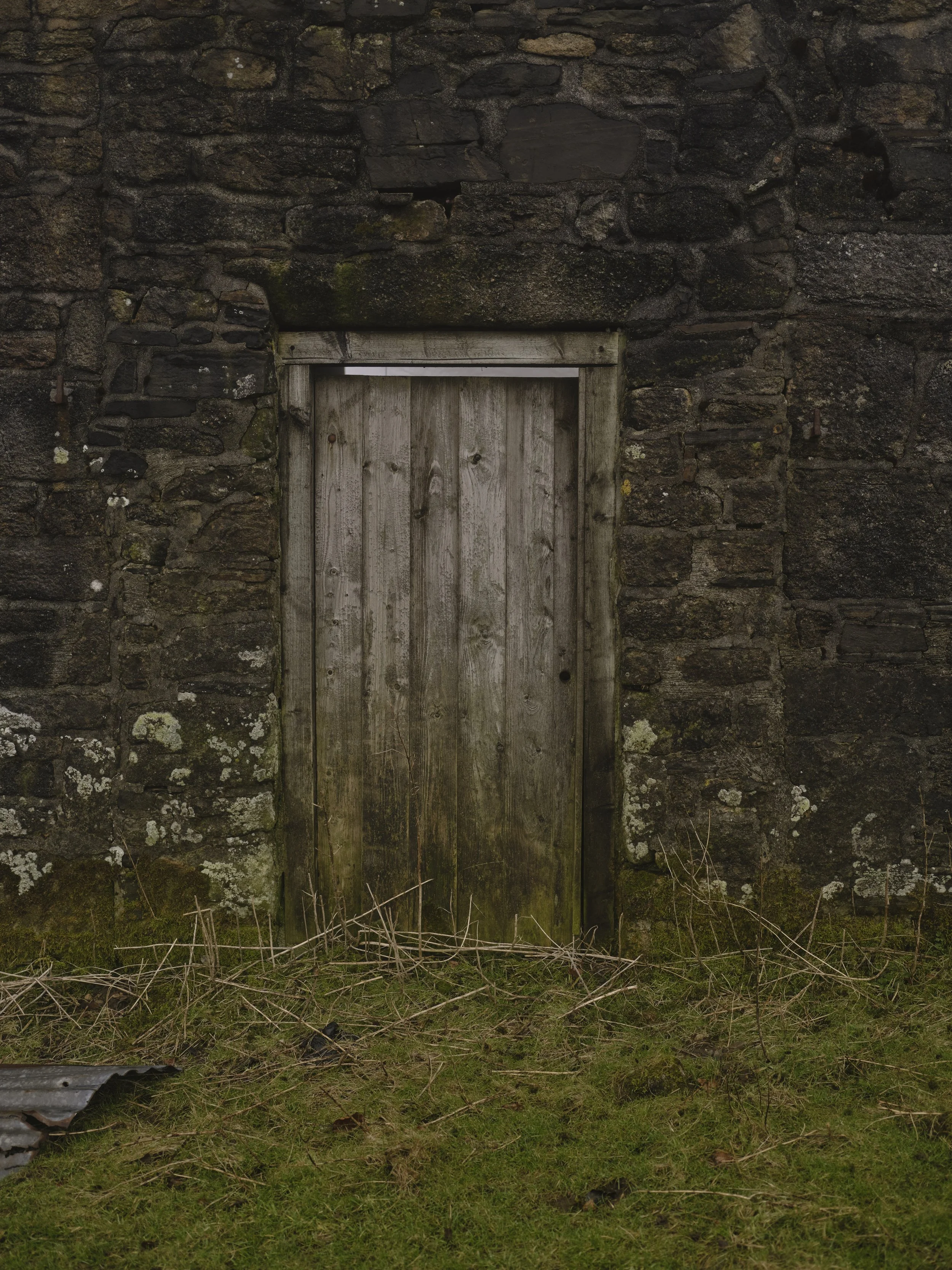A weathered wooden door set into a stone wall with moss and lichen, surrounded by overgrown grass and twigs.