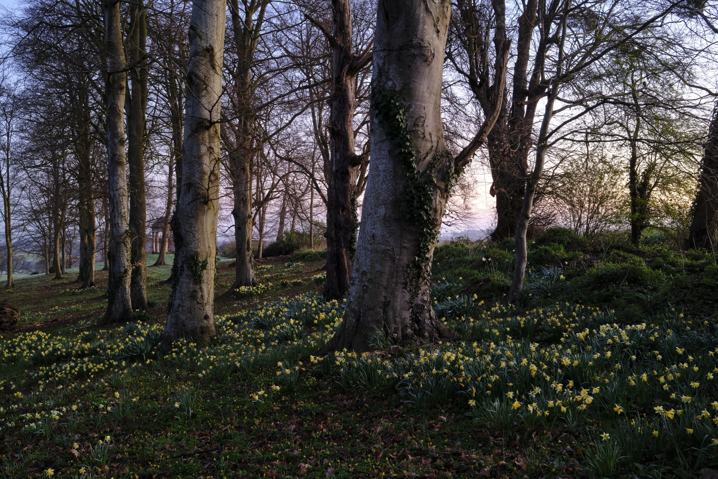 DSCF2052.jpg