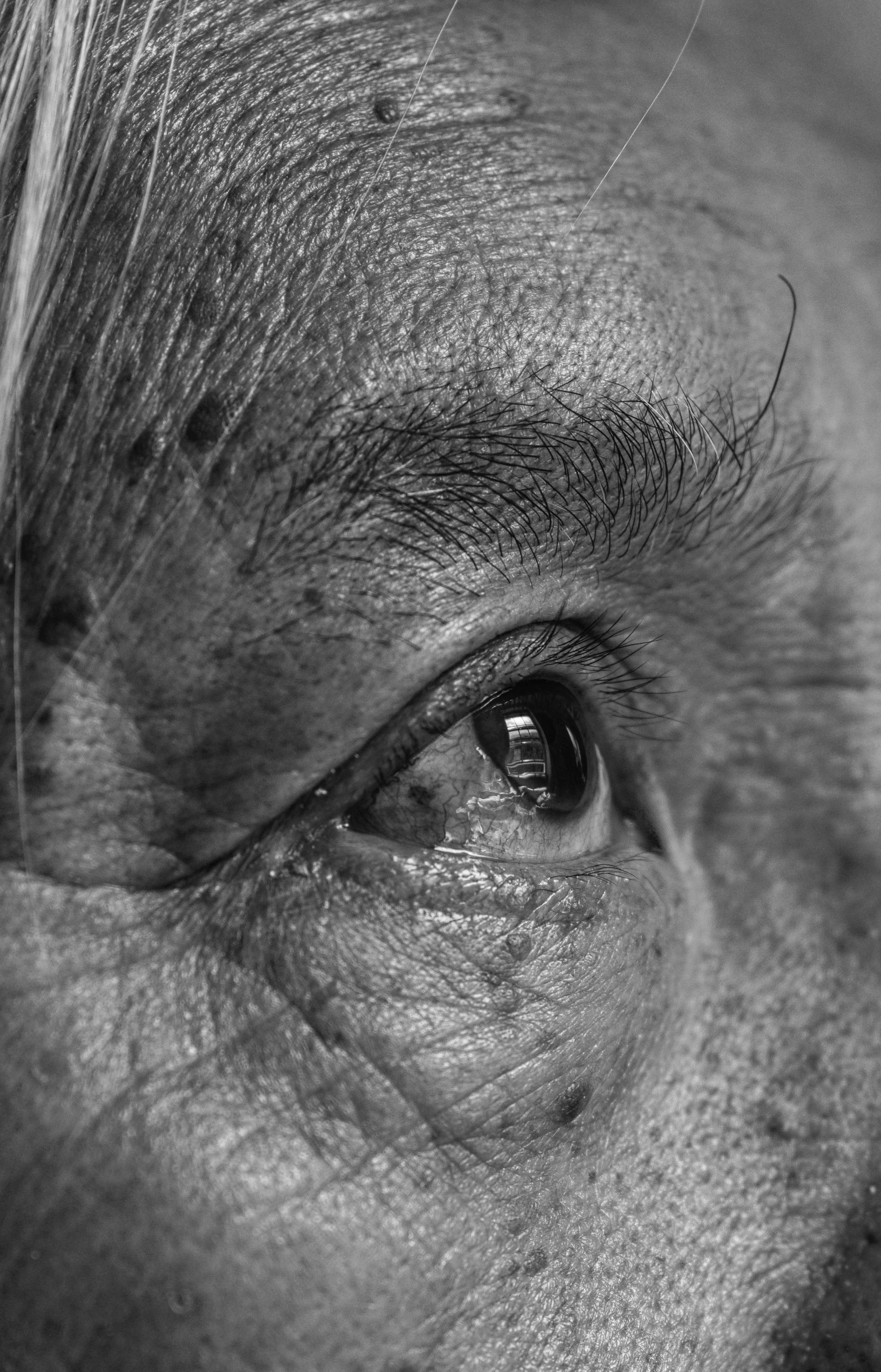 Laurence Cummins Photography - Somerset based Black and White Folk Portrait Photographer - Weddings, House & Gardens, Bands, Authors, Artists and Projects, Bath, Bristol, Devon, Dorset Best Photography Local Creative Photos in the South West Country