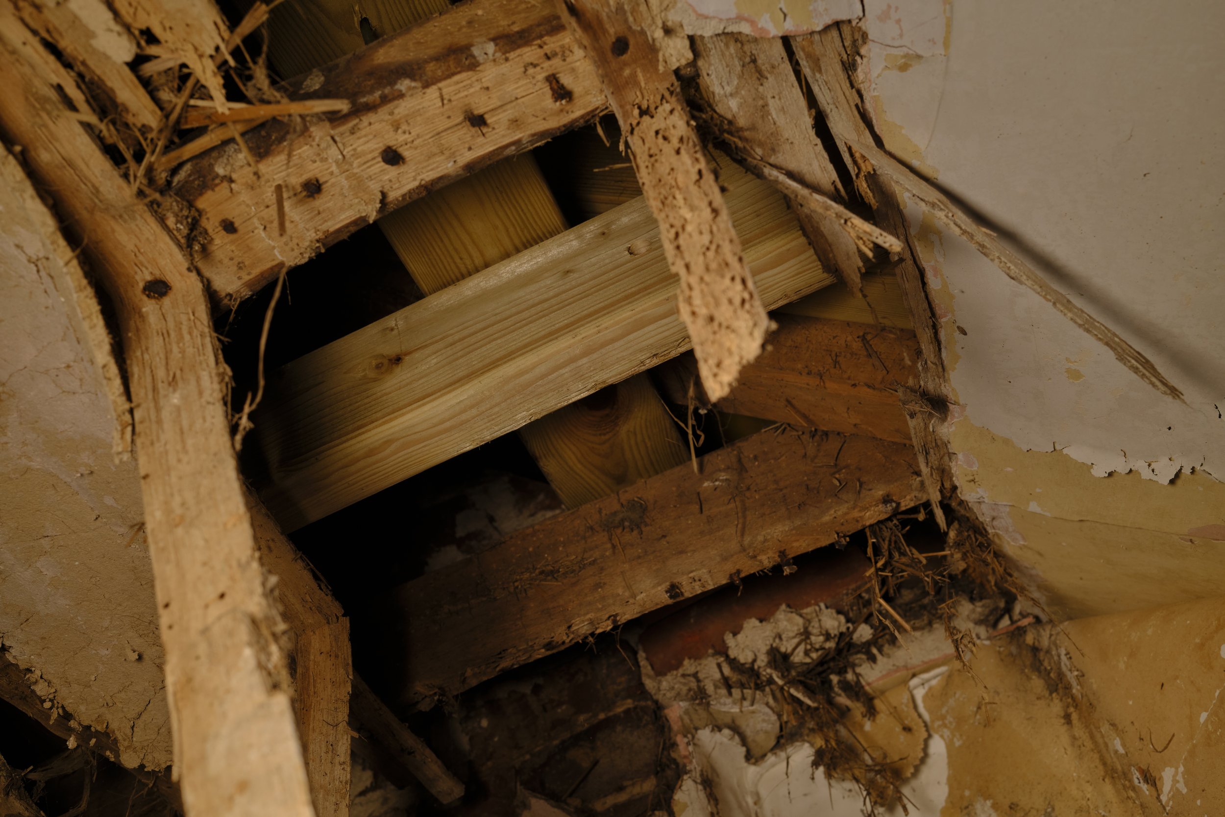 Back Bedroom - Ceiling Damage.jpg