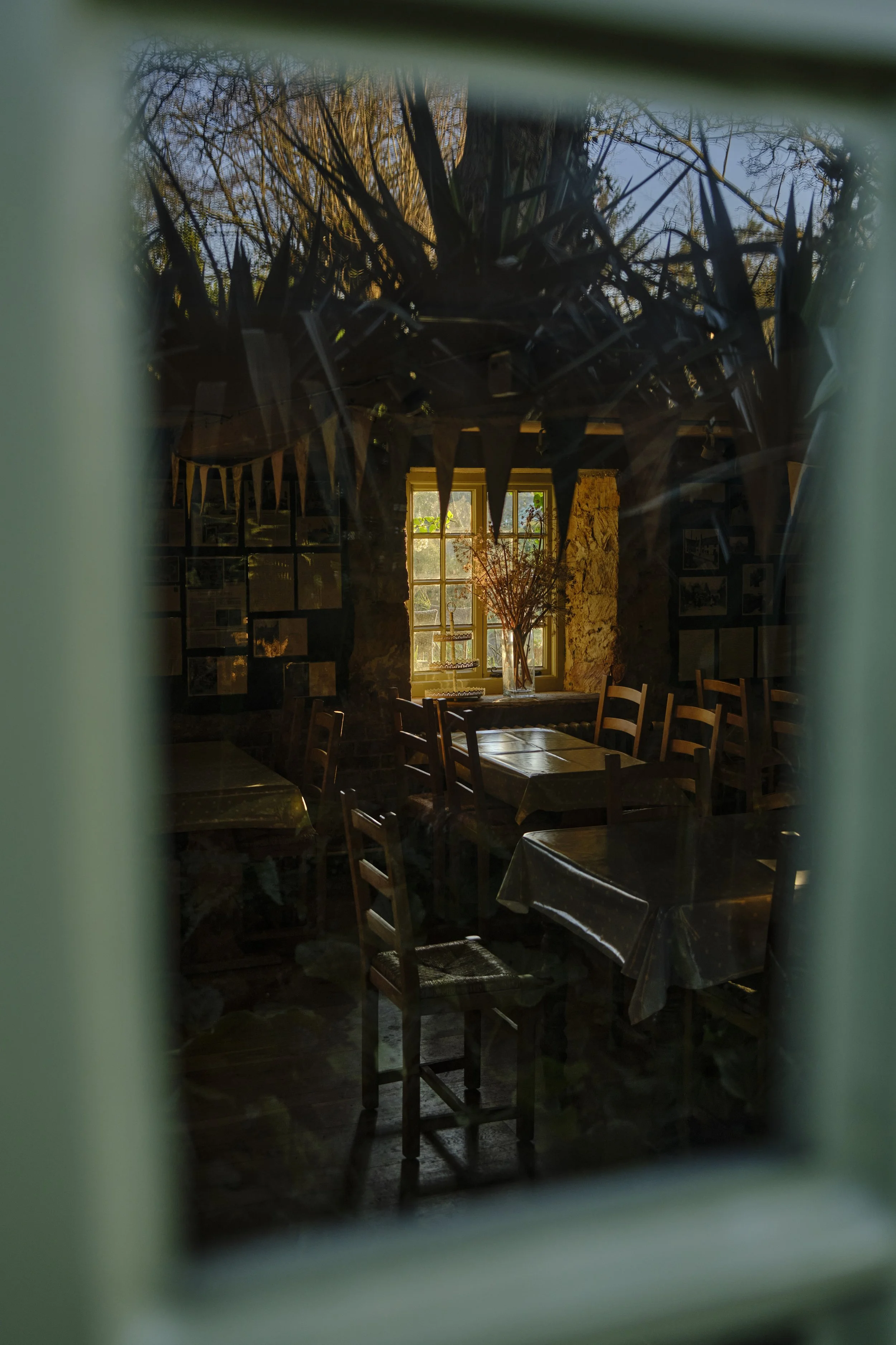 The photo shows the interior of a rustic restaurant with wooden chairs and tables covered with plastic tablecloths. There is a window with sunlight streaming through, illuminating a large glass vase filled with branches on the windowsill. The ceiling features a decorative arrangement of branches and foliage, with bunting hanging across the room.