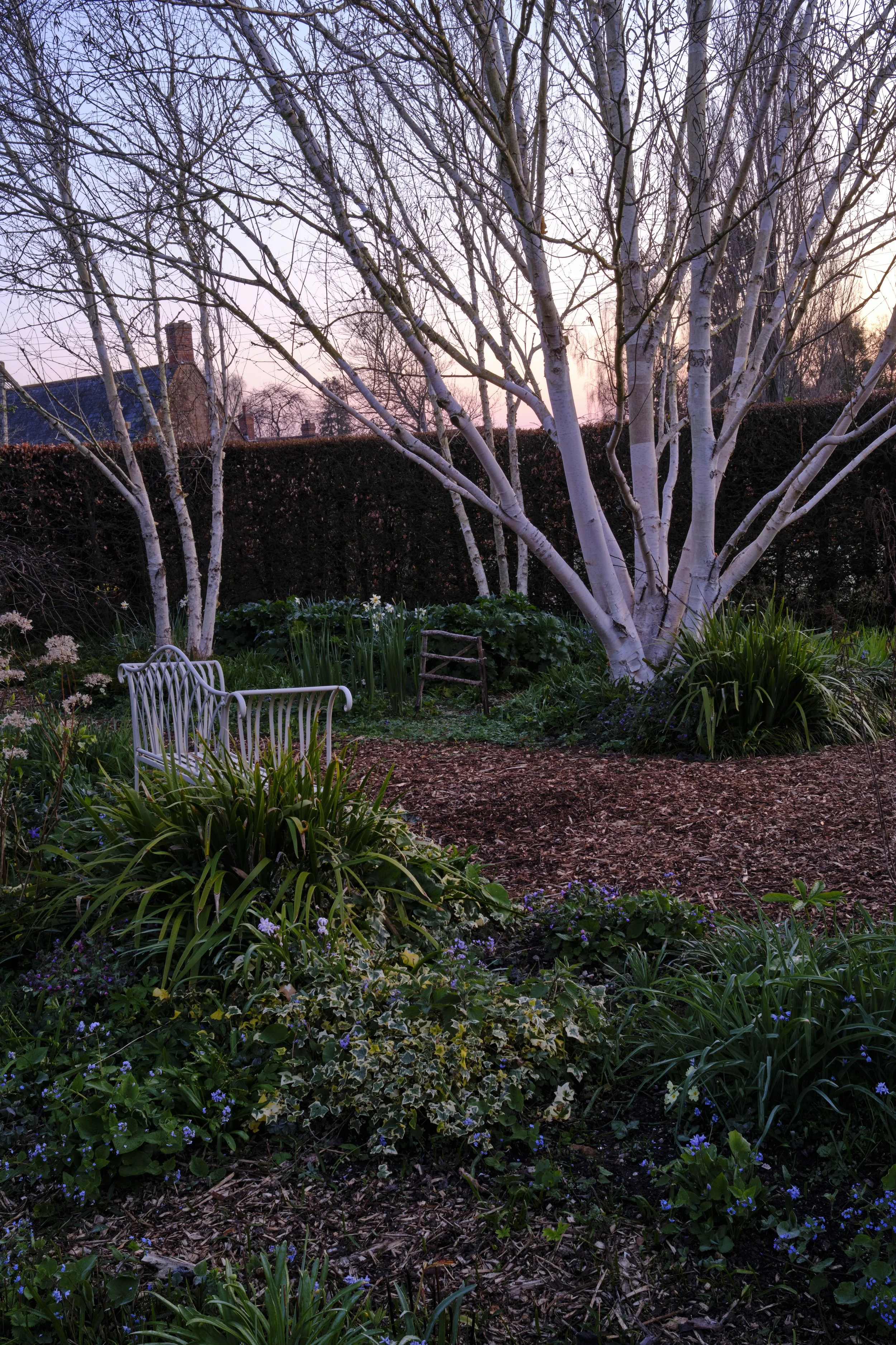 DSCF2268.jpg