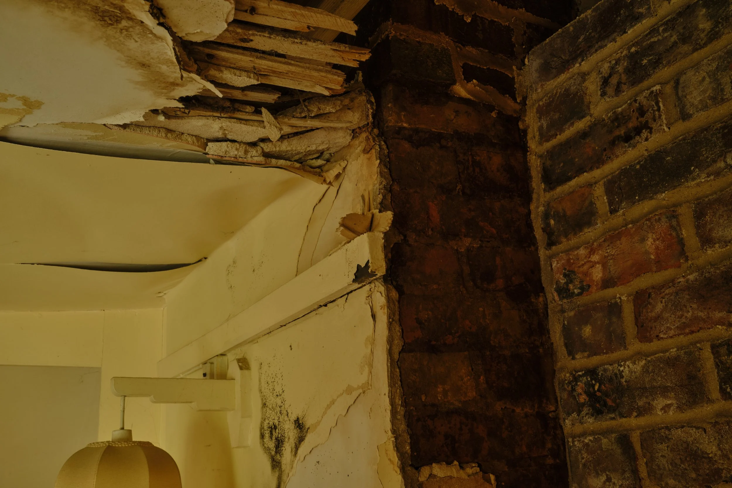 Back Bedroom - Damage details 123.jpg