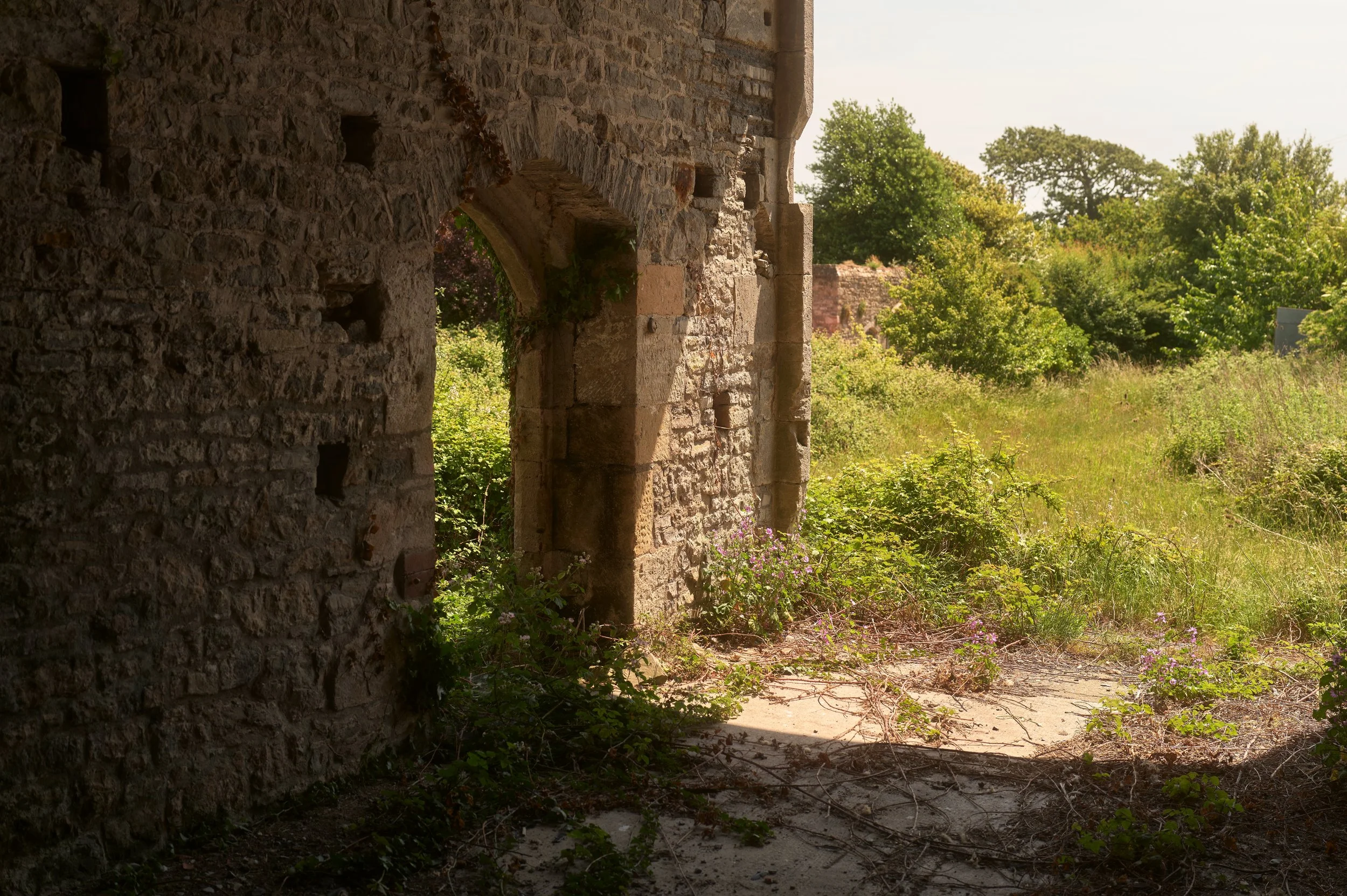 Ruin of an old stone building with an arched doorway, surrounded by overgrown vegetation and trees on a sunny day.