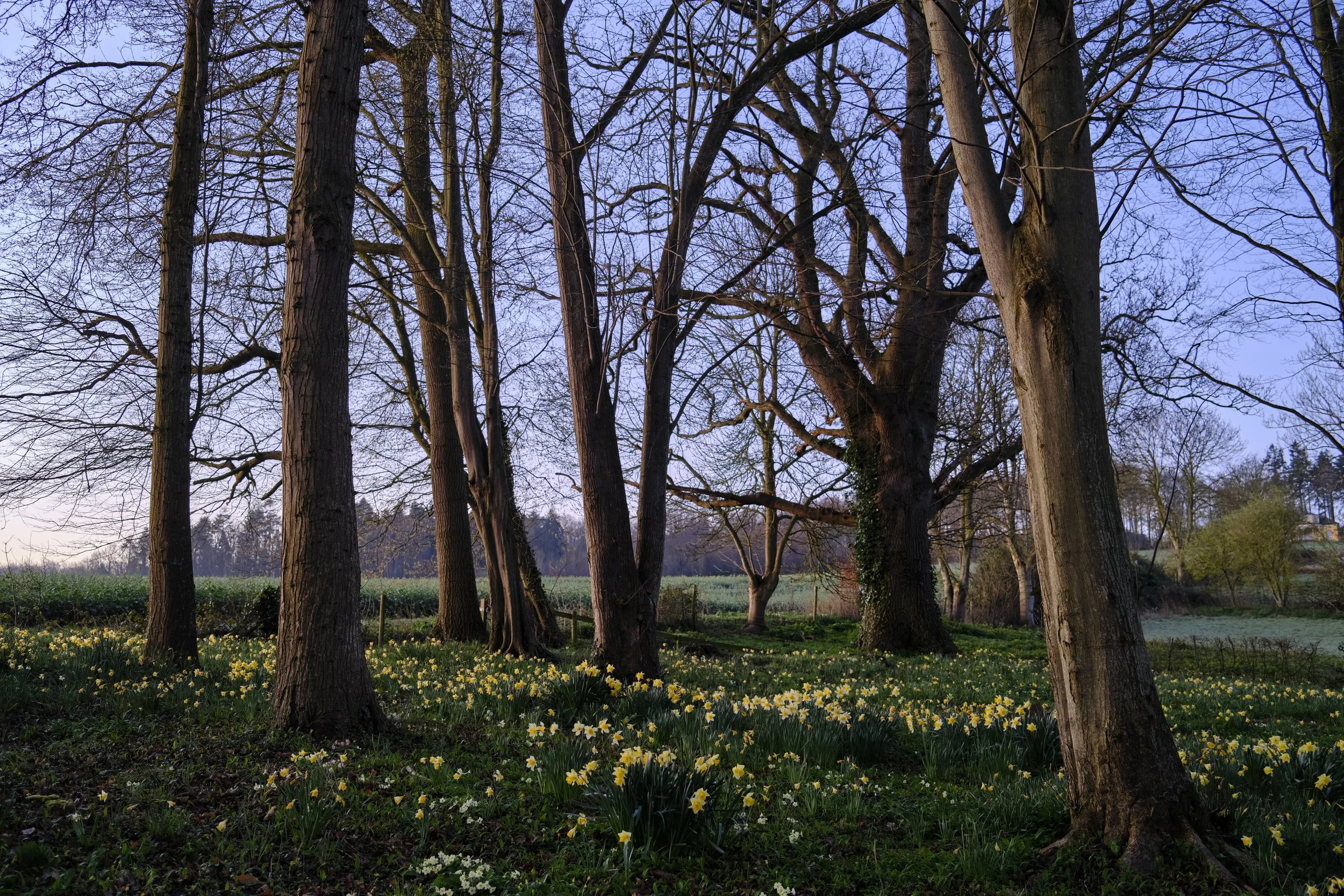 DSCF2048.jpg