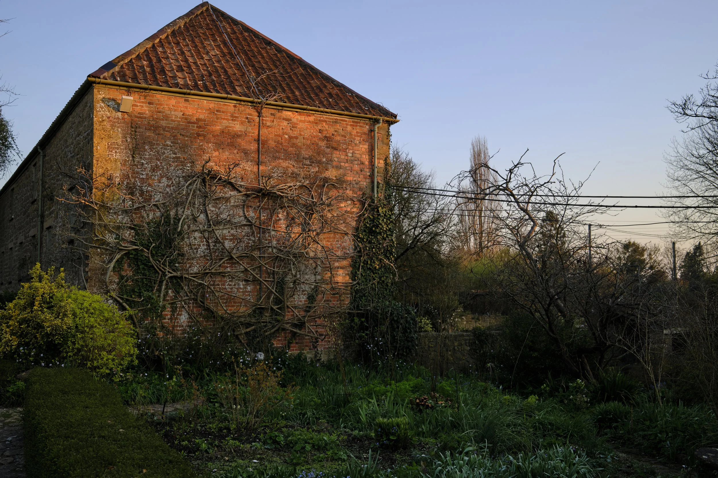 DSCF2377.jpg