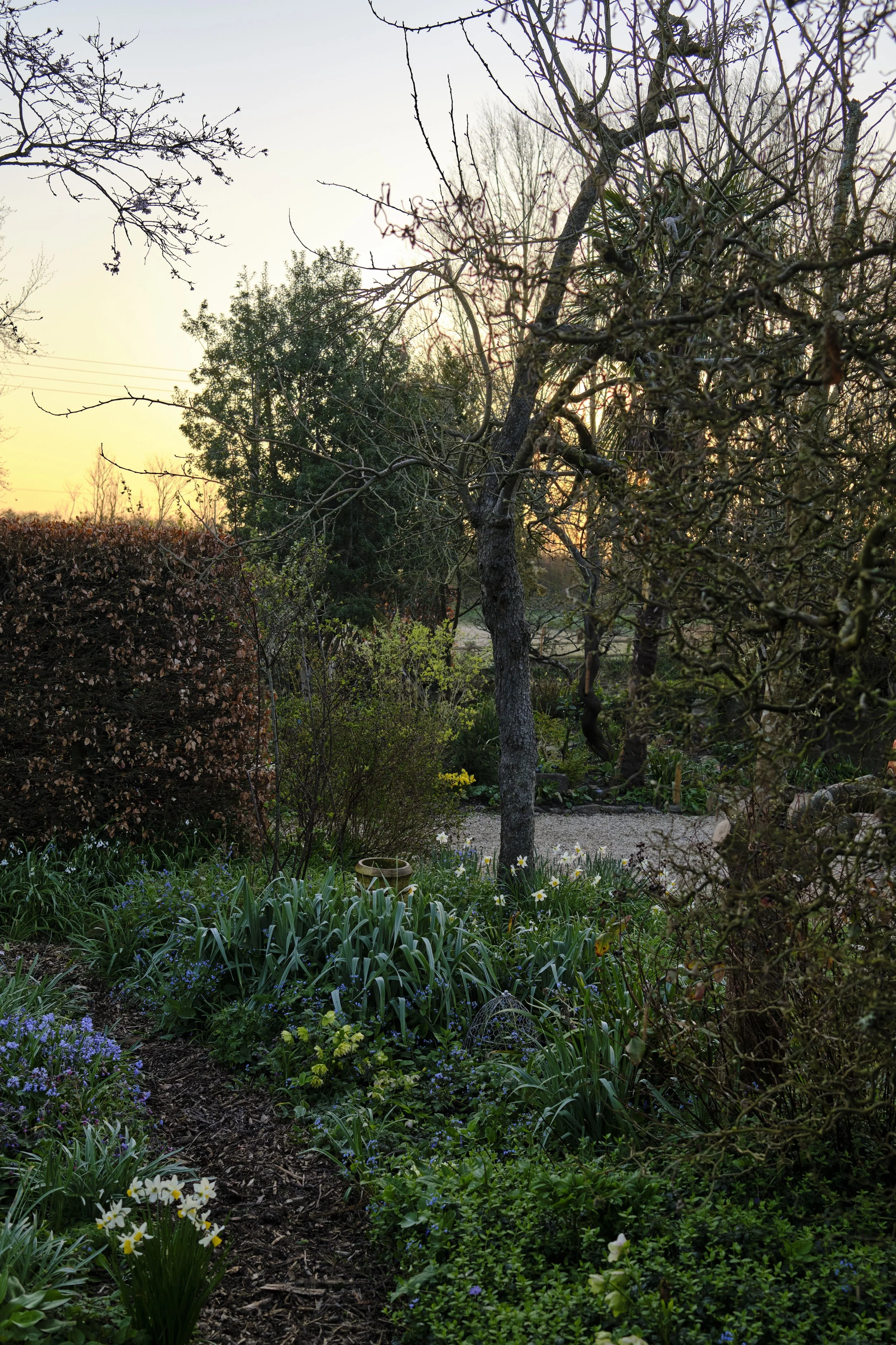 DSCF2383.jpg
