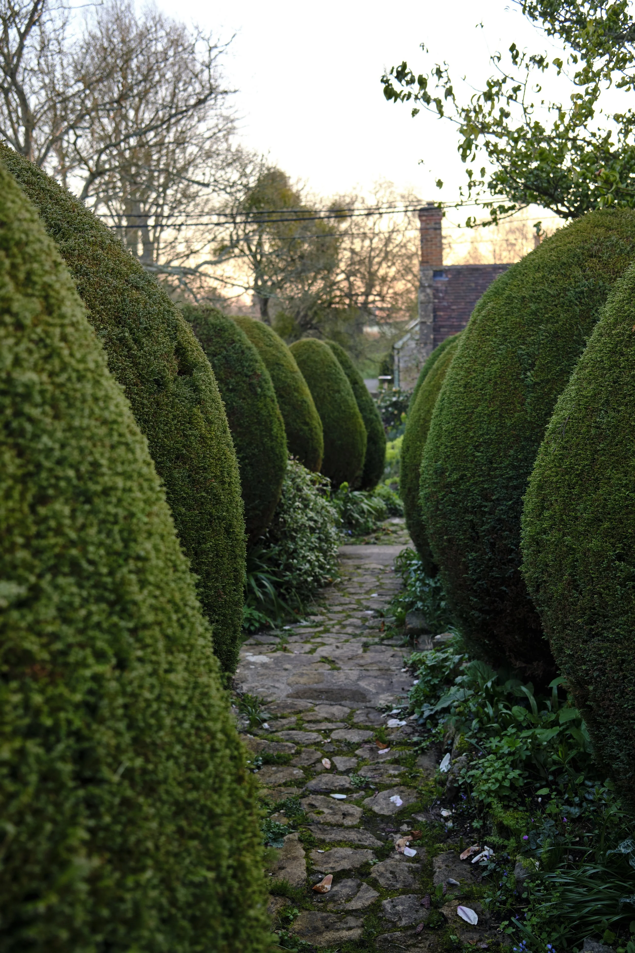 DSCF2338.jpg