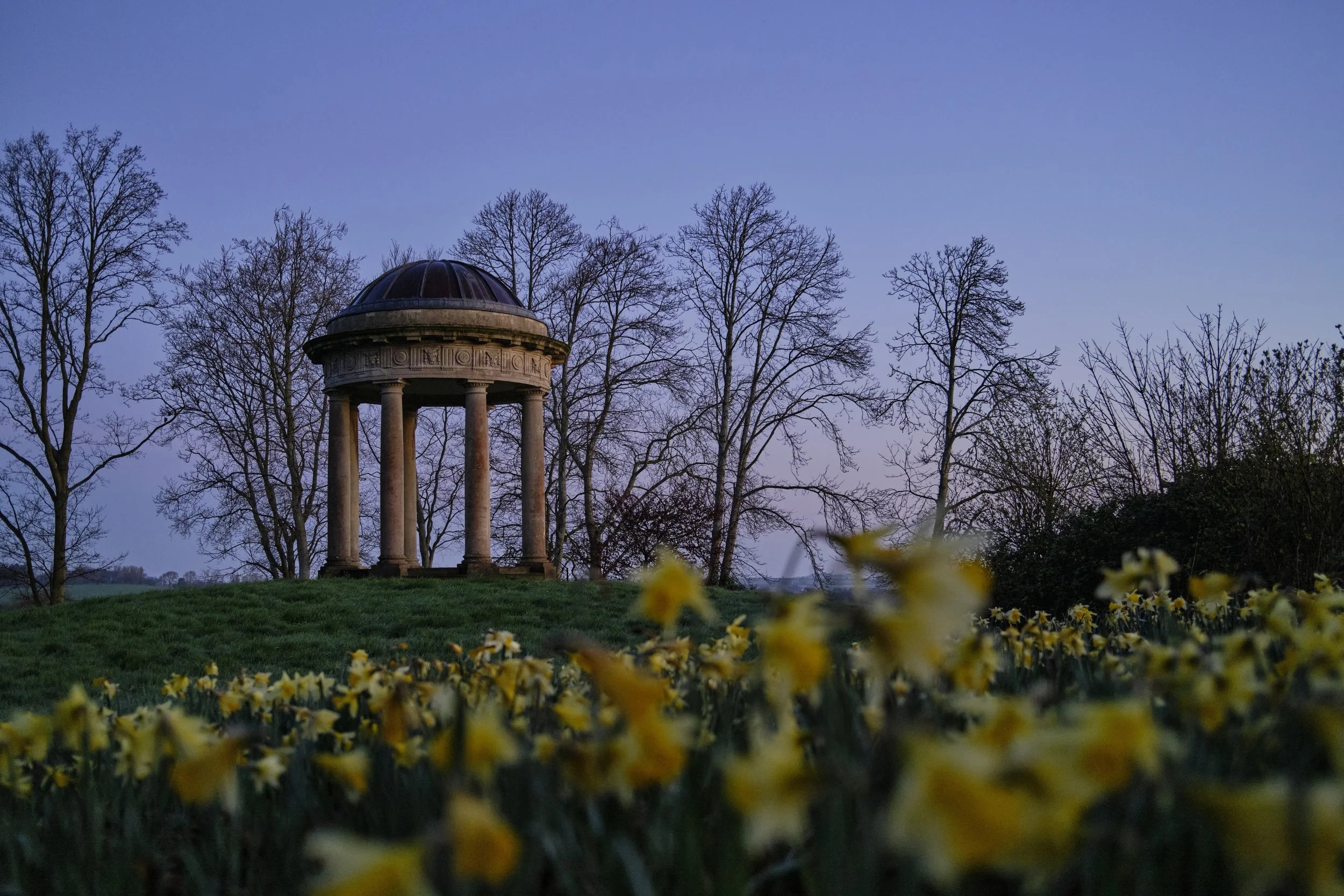 Copyright Laurence Cummins Photography / Halswell Park - A small, circular, classical pavilion with a domed roof supported by eight columns, situated on a grassy hill with yellow flowers in the foreground and leafless trees in the background during d