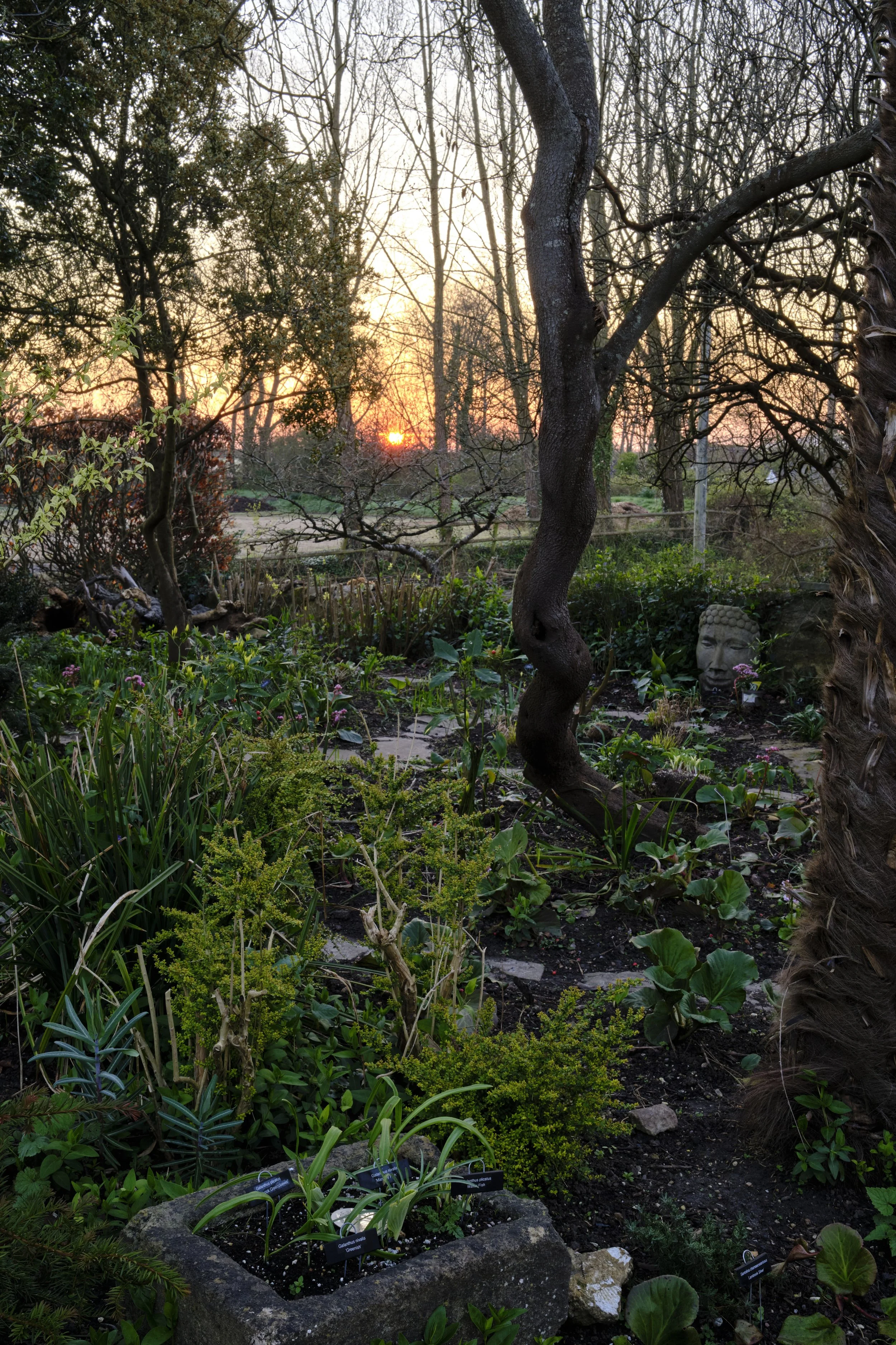 DSCF2324.jpg