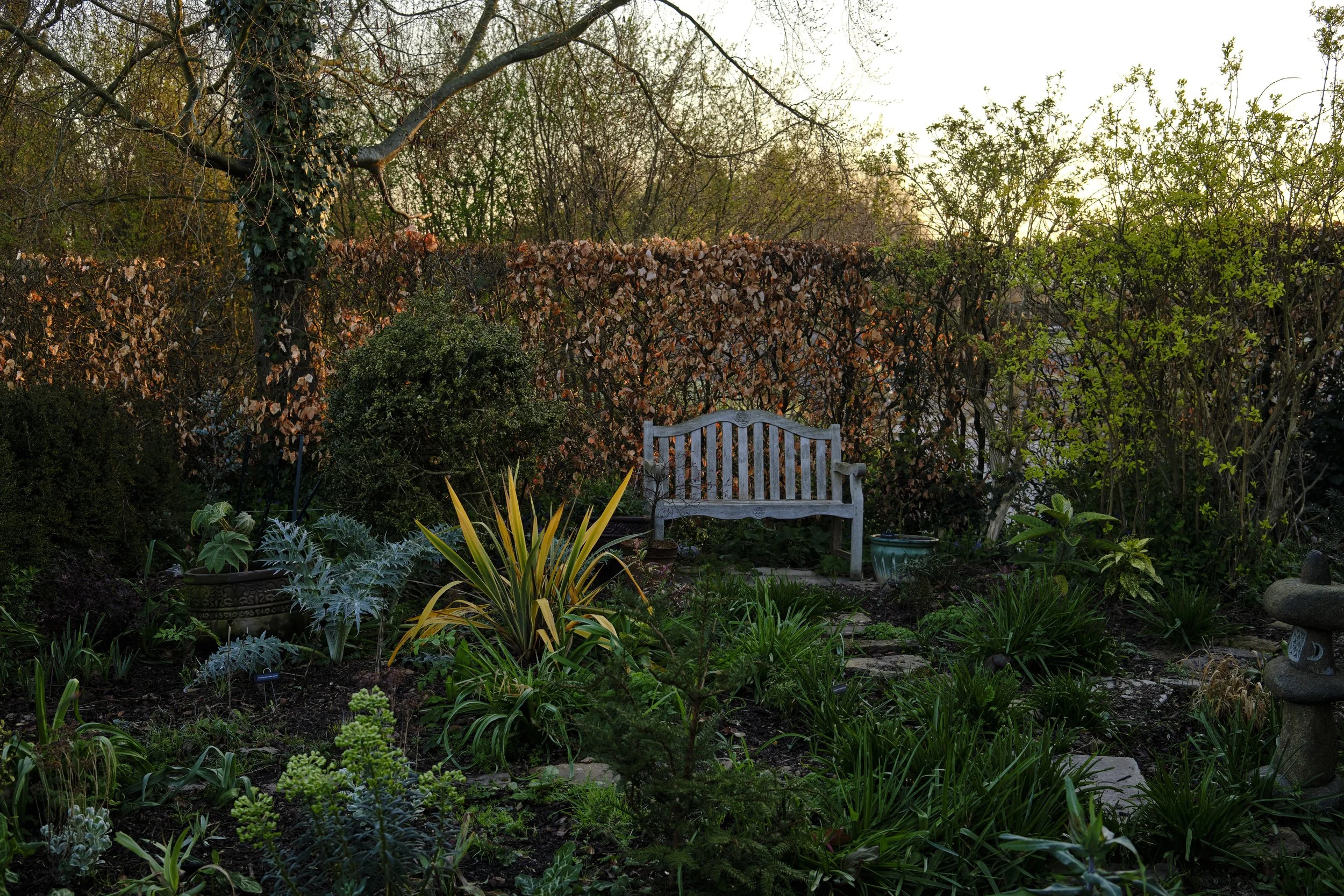 Copyright Laurence Cummins Photography / East Lambrook Manor Gardens - 