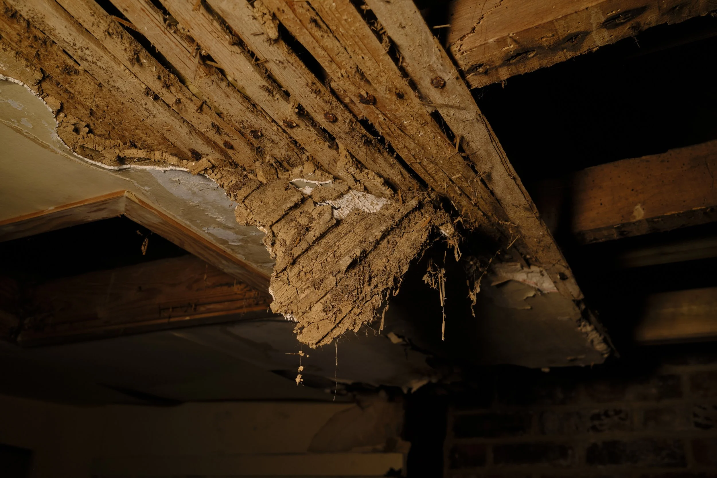 Partially removed ceiling with exposed wooden beams and damaged drywall with debris hanging and dust in a dark room.