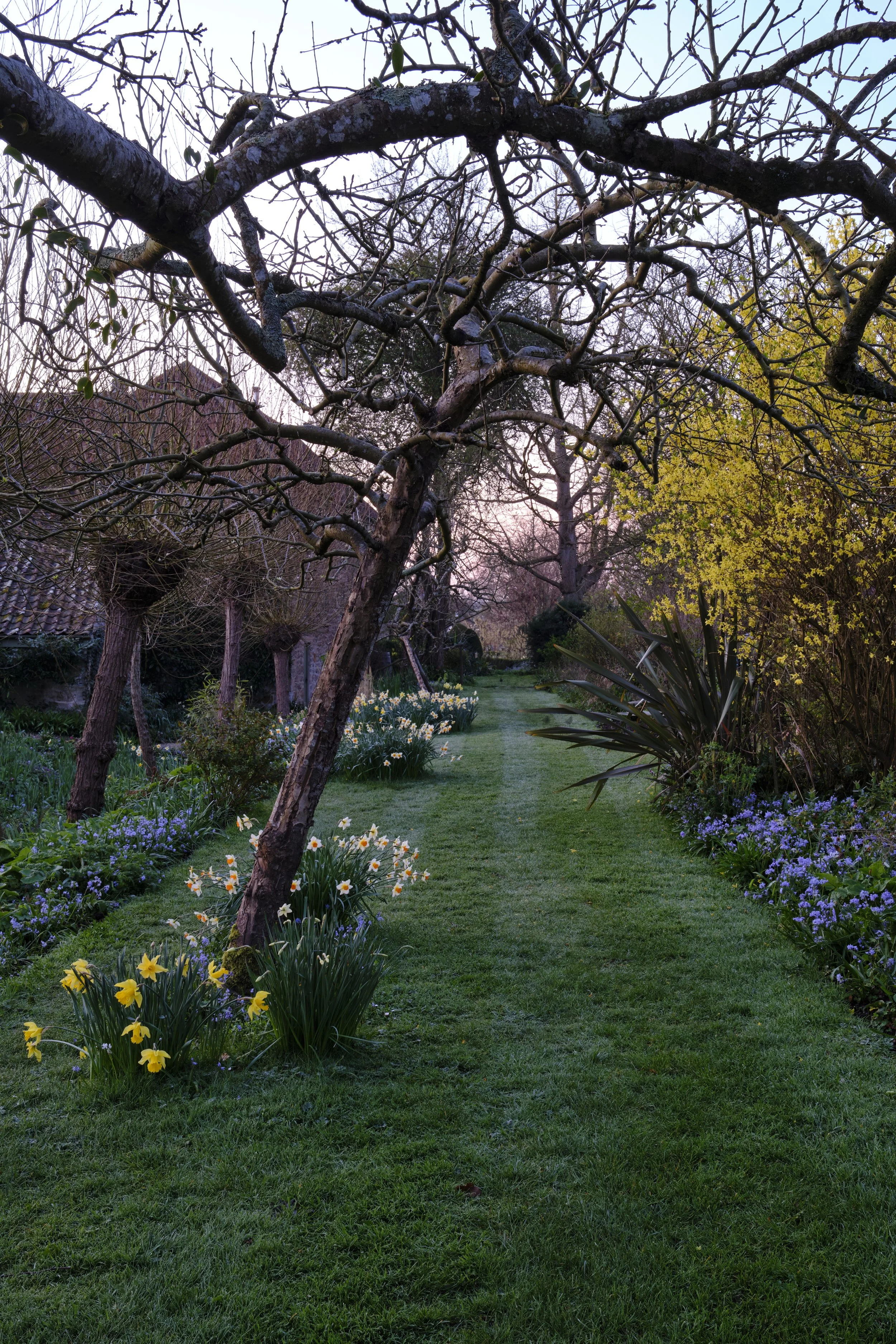 Copyright Laurence Cummins Photography / East Lambrook Manor Gardens - 