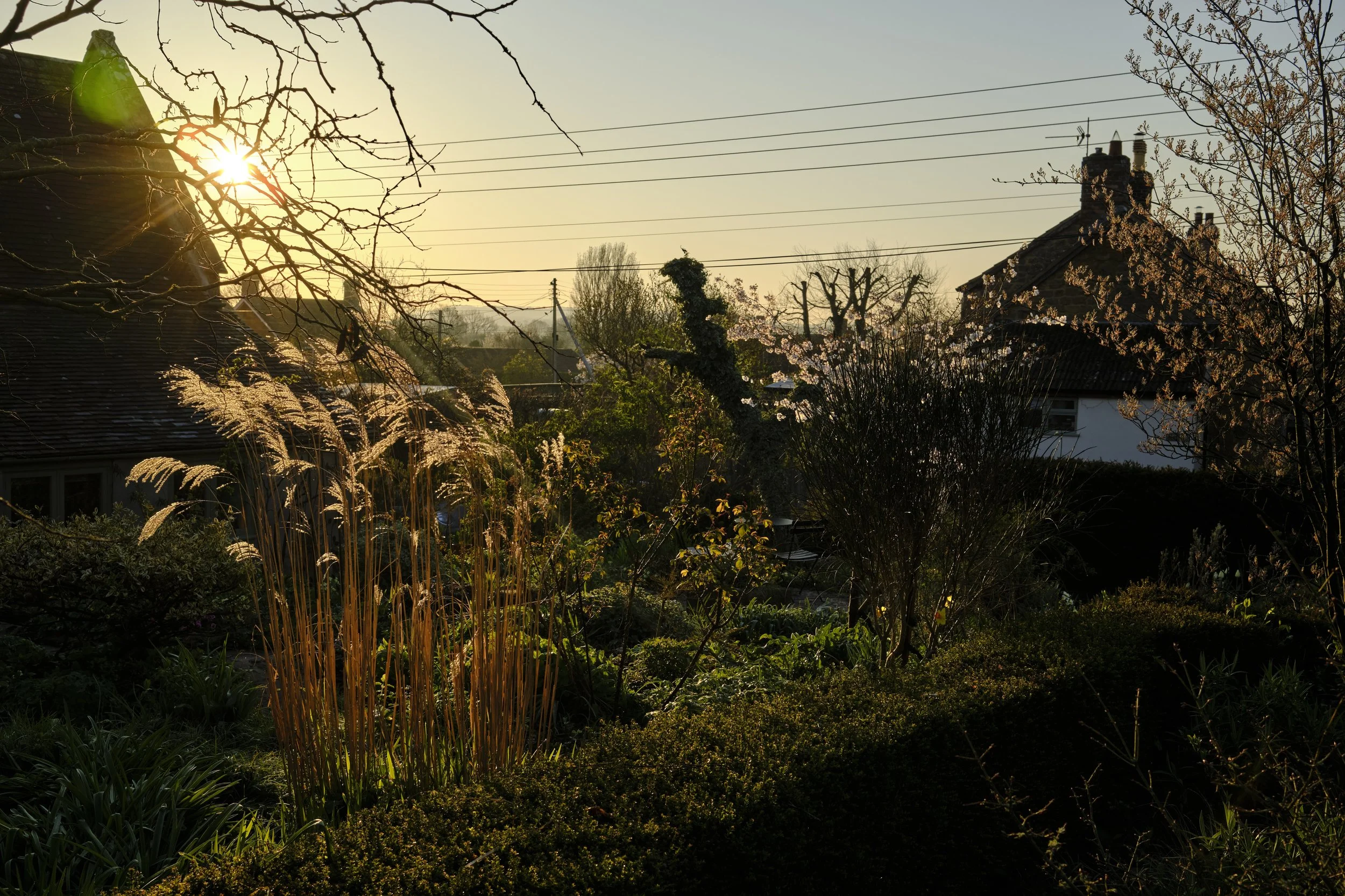 DSCF2509.jpg